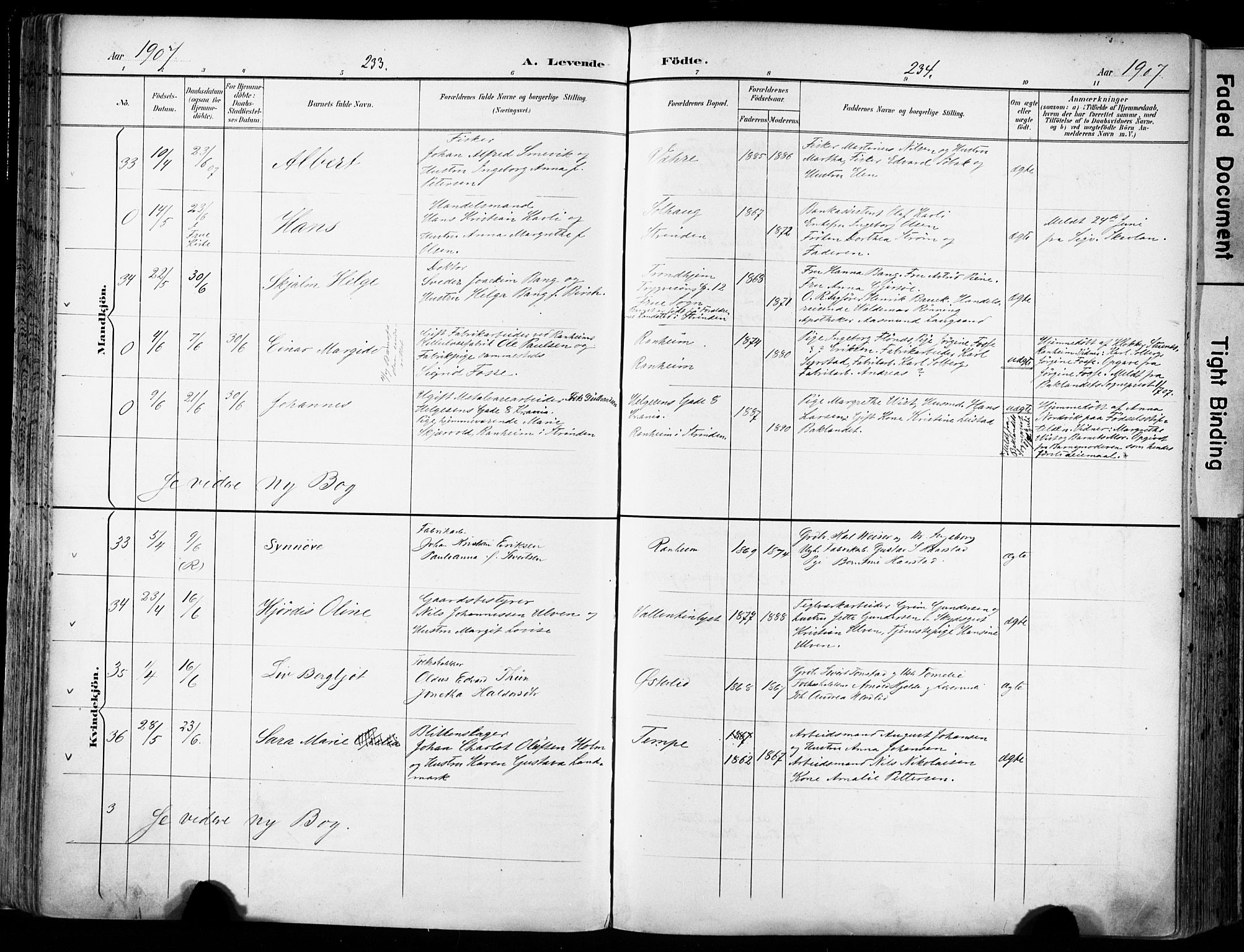 Ministerialprotokoller, klokkerbøker og fødselsregistre - Sør-Trøndelag, AV/SAT-A-1456/606/L0301: Parish register (official) no. 606A16, 1894-1907, p. 233-234