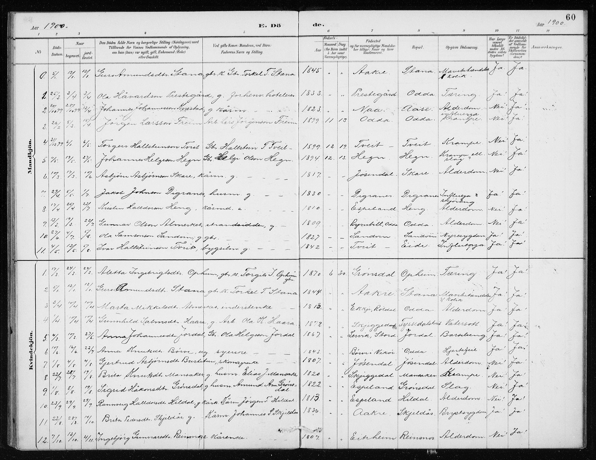 Odda Sokneprestembete, AV/SAB-A-77201/H/Haa: Parish register (official) no. D 1, 1887-1914, p. 60