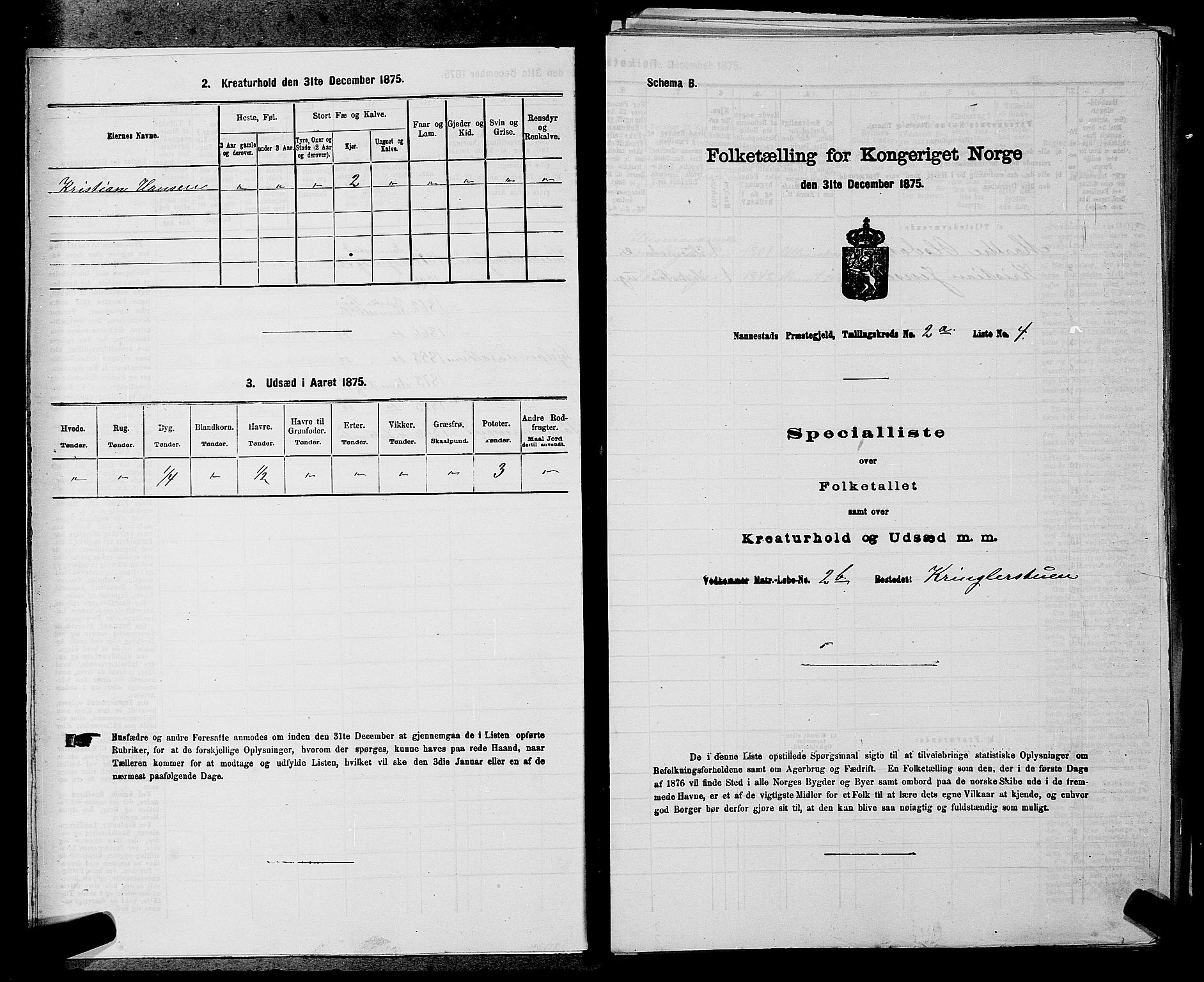 RA, 1875 census for 0238P Nannestad, 1875, p. 212