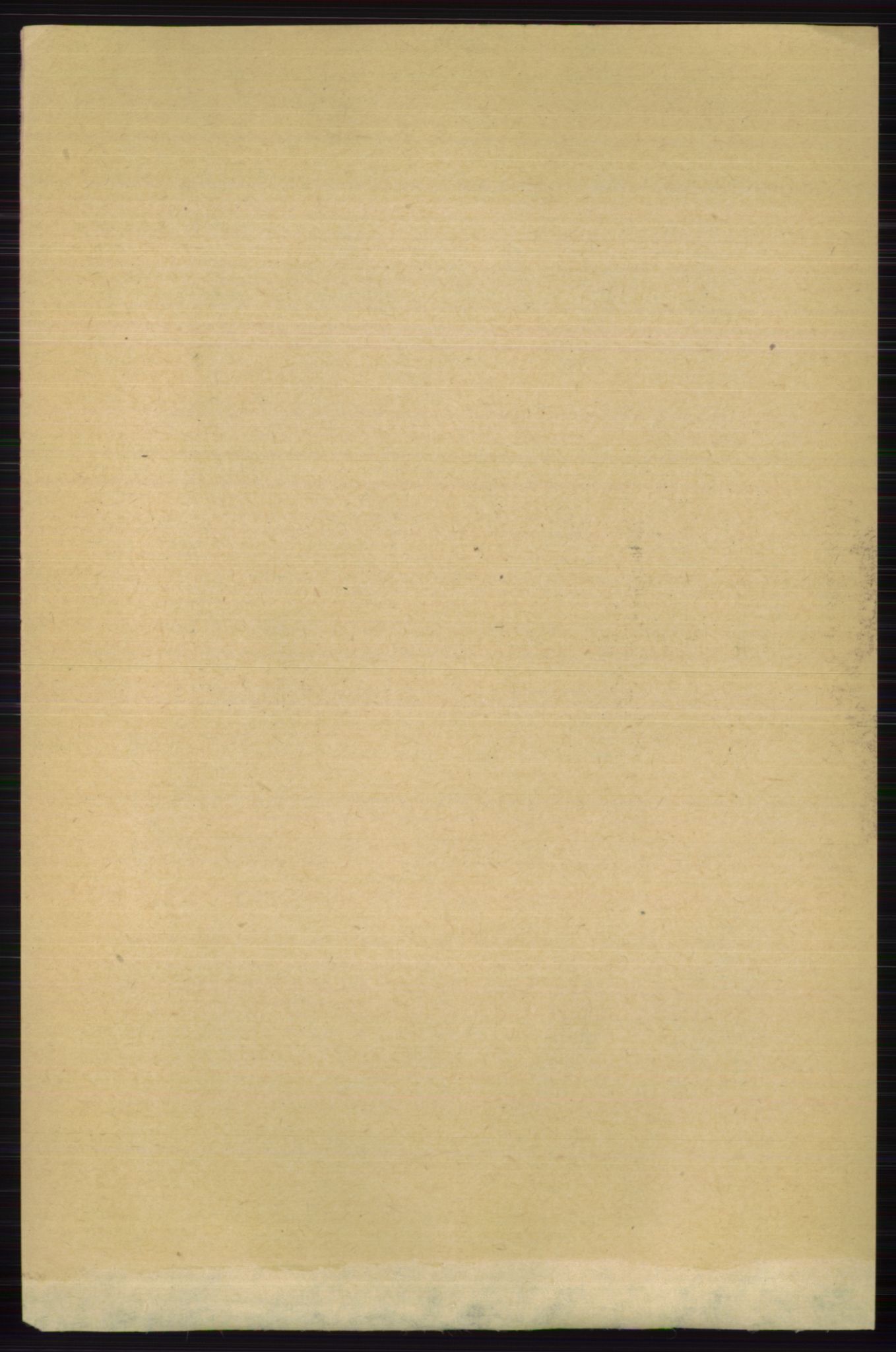 RA, 1891 census for 0717 Borre, 1891, p. 3682