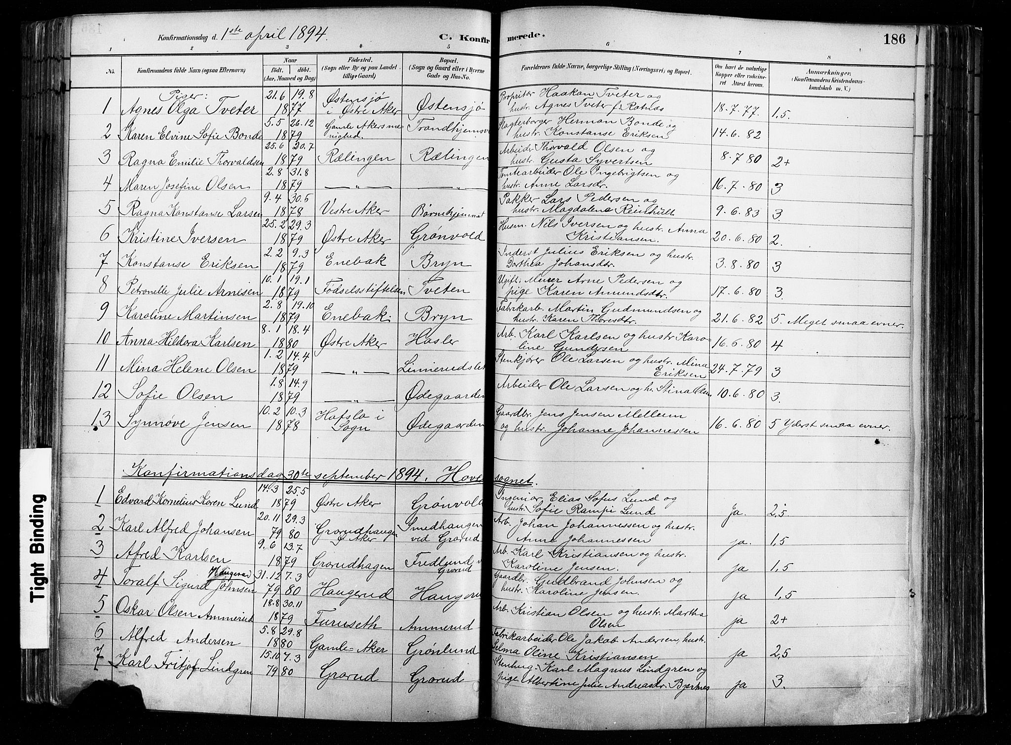 Østre Aker prestekontor Kirkebøker, AV/SAO-A-10840/F/Fa/L0008: Parish register (official) no. I 8, 1883-1894, p. 186