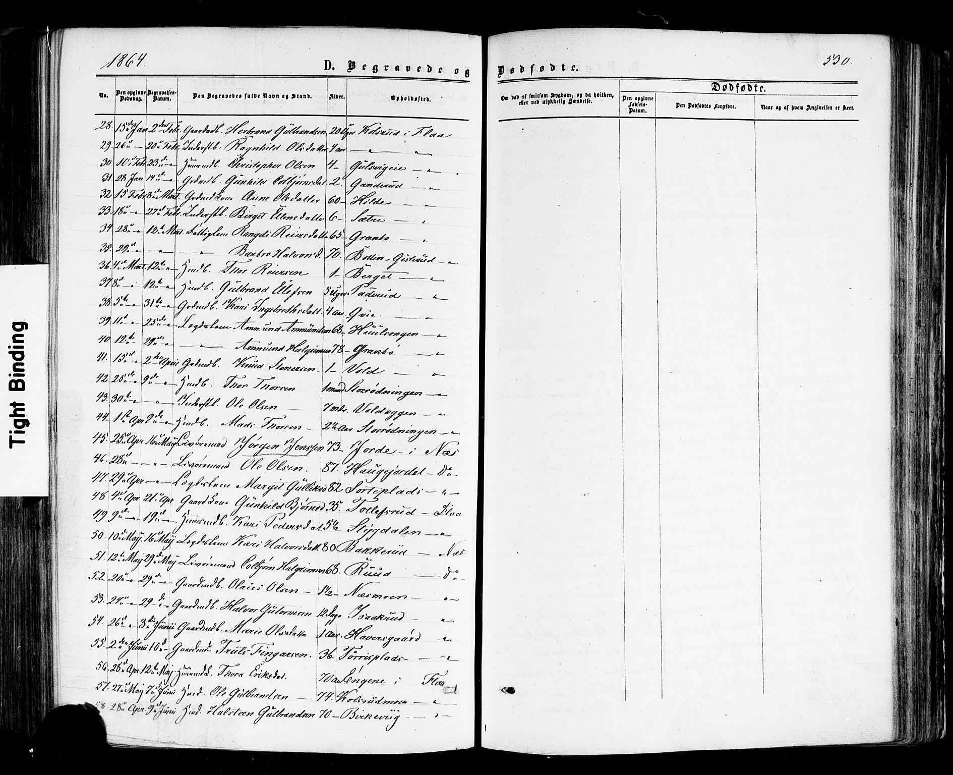 Nes kirkebøker, AV/SAKO-A-236/F/Fa/L0010: Parish register (official) no. 10, 1864-1880, p. 530