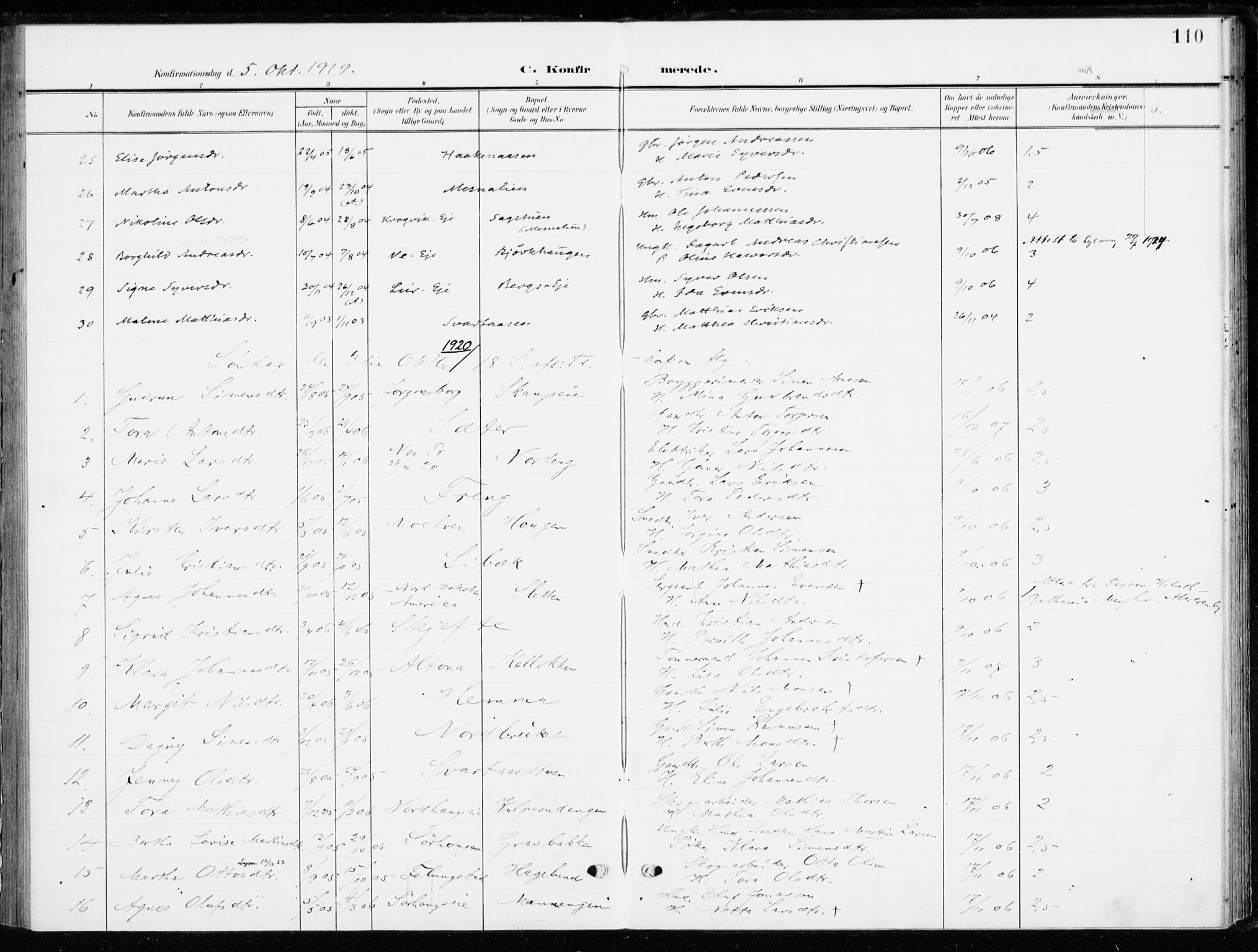 Ringsaker prestekontor, SAH/PREST-014/K/Ka/L0021: Parish register (official) no. 21, 1905-1920, p. 110