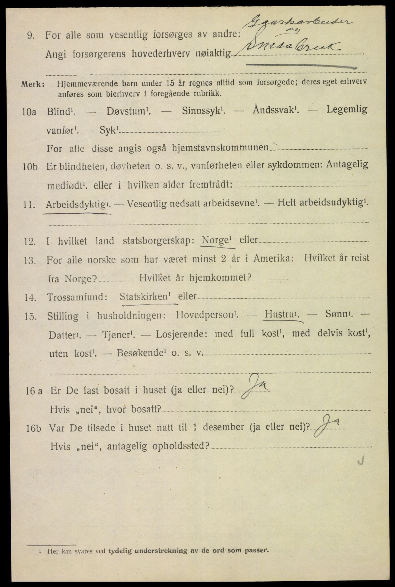 SAH, 1920 census for Nes (Hedmark), 1920, p. 3265