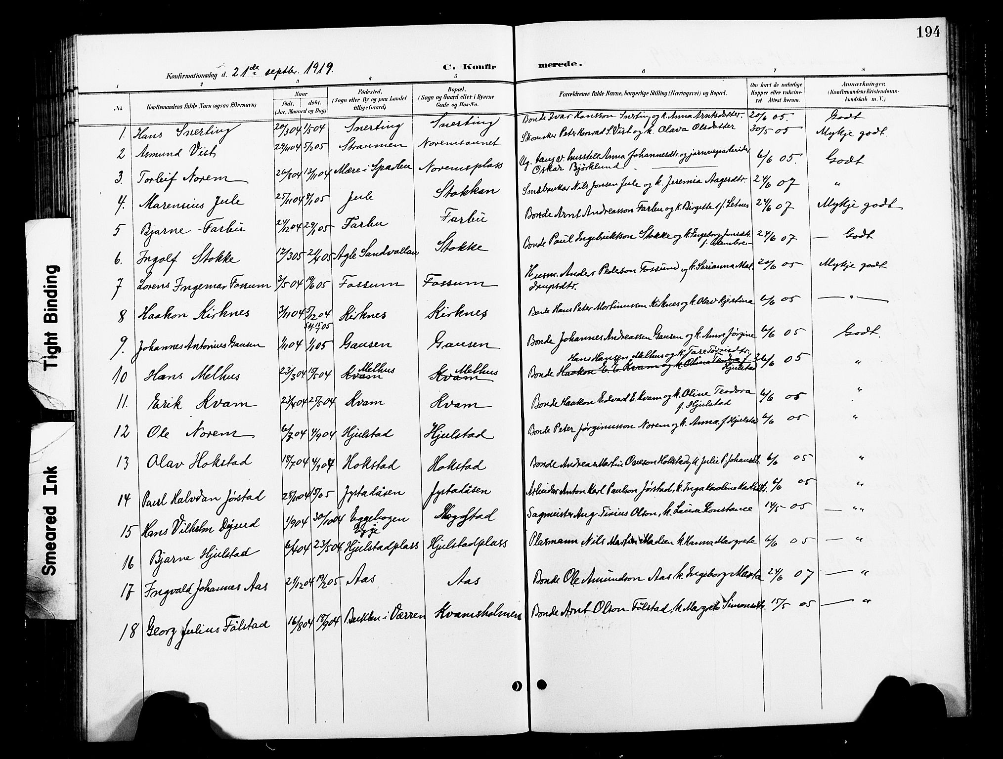 Ministerialprotokoller, klokkerbøker og fødselsregistre - Nord-Trøndelag, SAT/A-1458/730/L0302: Parish register (copy) no. 730C05, 1898-1924, p. 194
