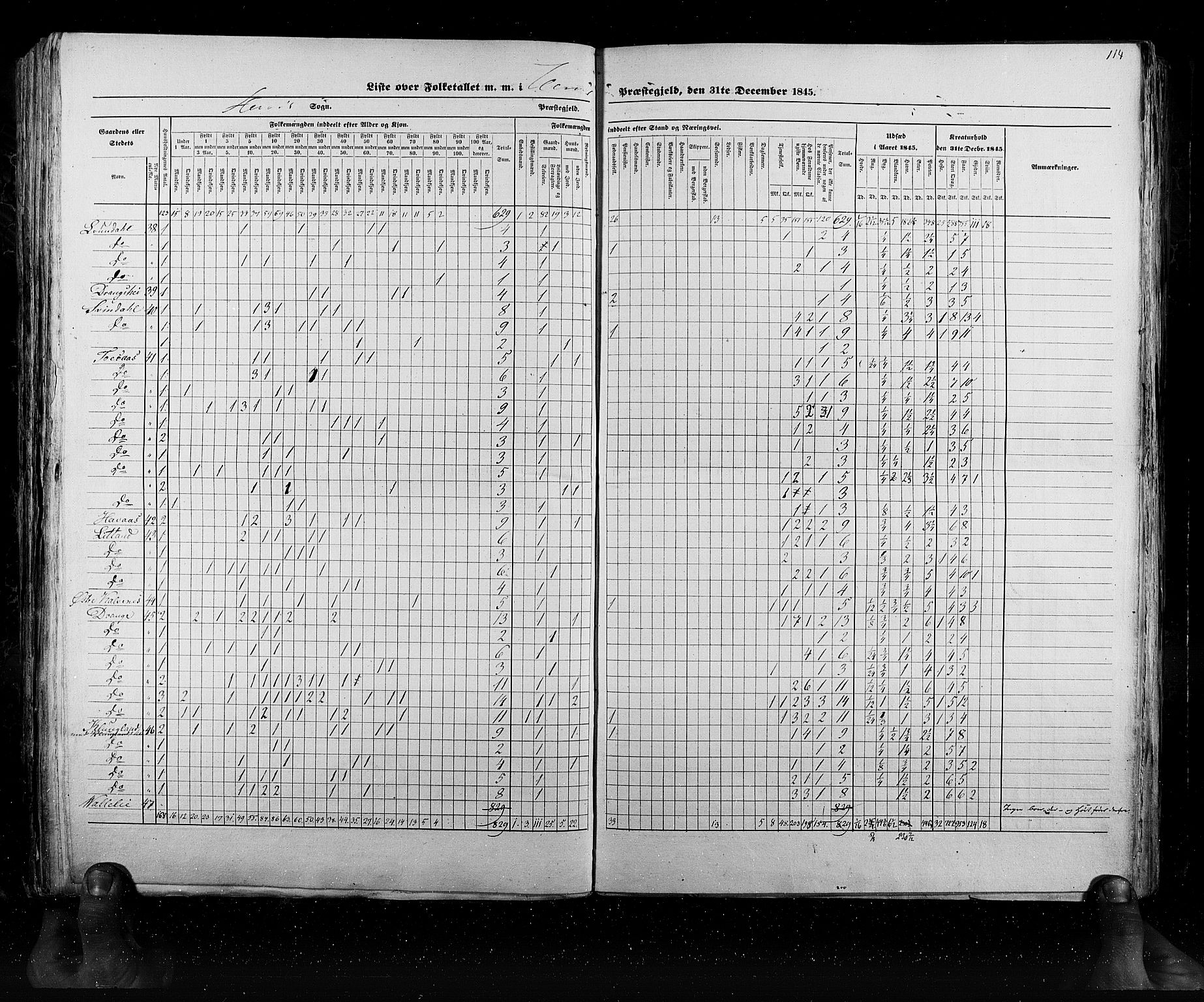 RA, Census 1845, vol. 6: Lister og Mandal amt og Stavanger amt, 1845, p. 114