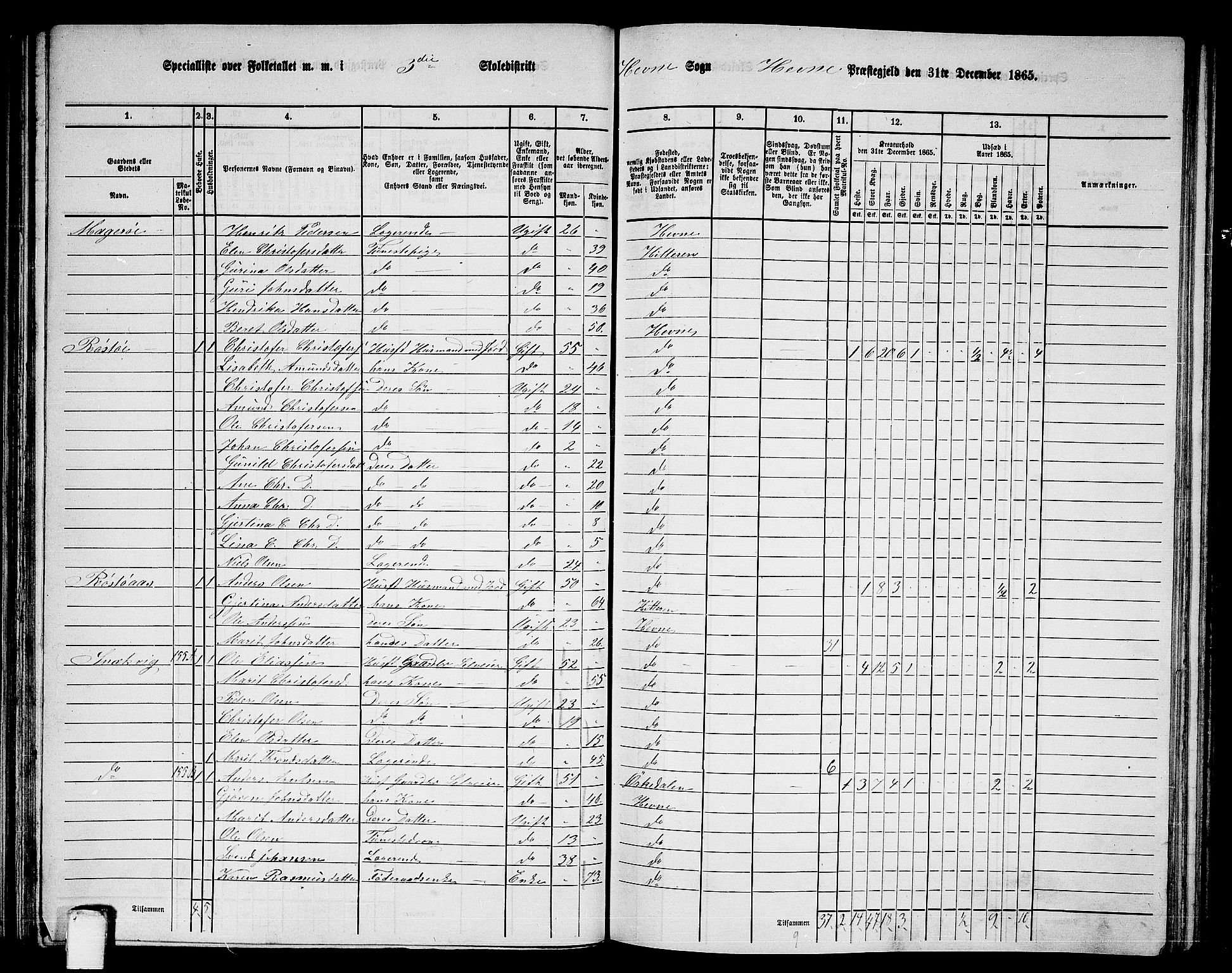 RA, 1865 census for Hemne, 1865, p. 73