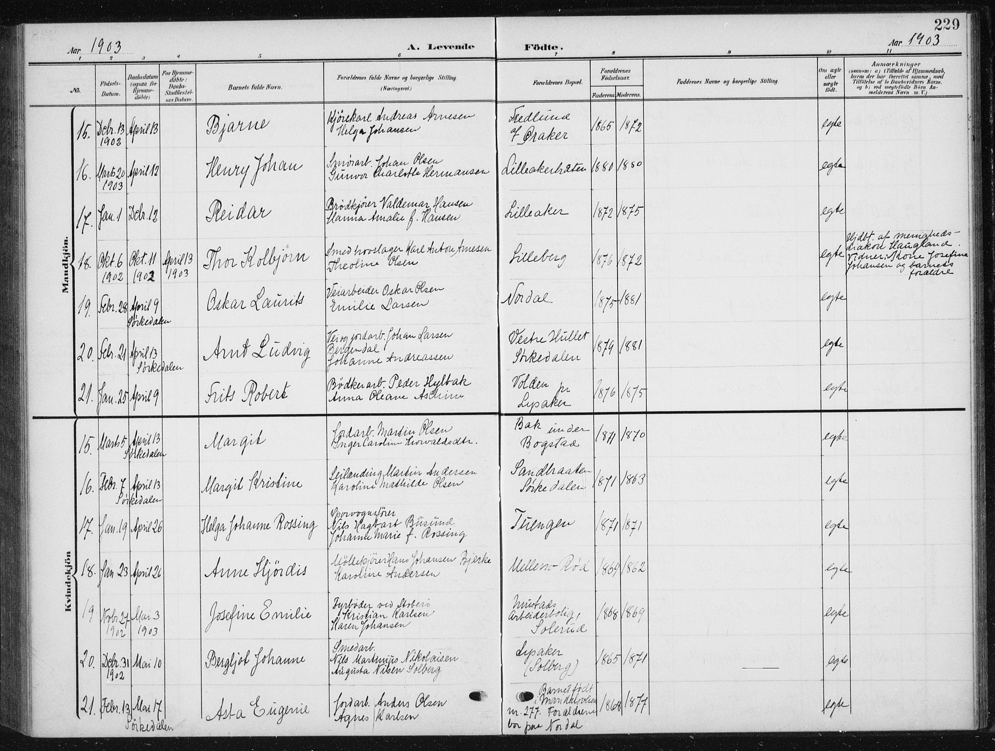 Vestre Aker prestekontor Kirkebøker, AV/SAO-A-10025/F/Fb/L0001: Parish register (official) no. II 1, 1880-1906, p. 229