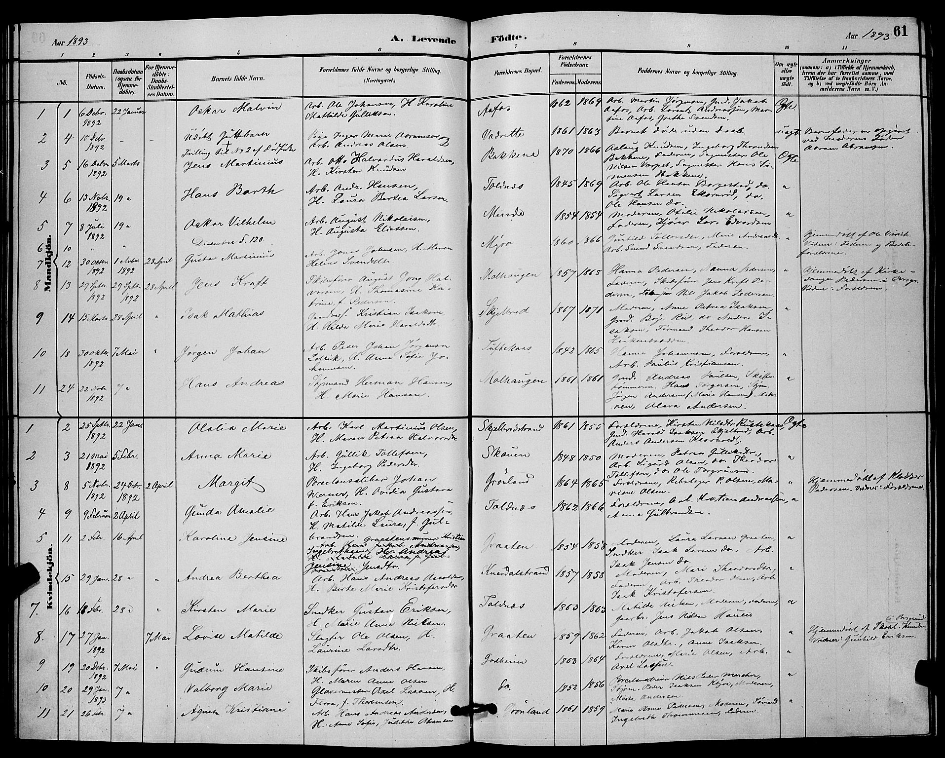 Solum kirkebøker, AV/SAKO-A-306/G/Ga/L0007: Parish register (copy) no. I 7, 1884-1898, p. 61