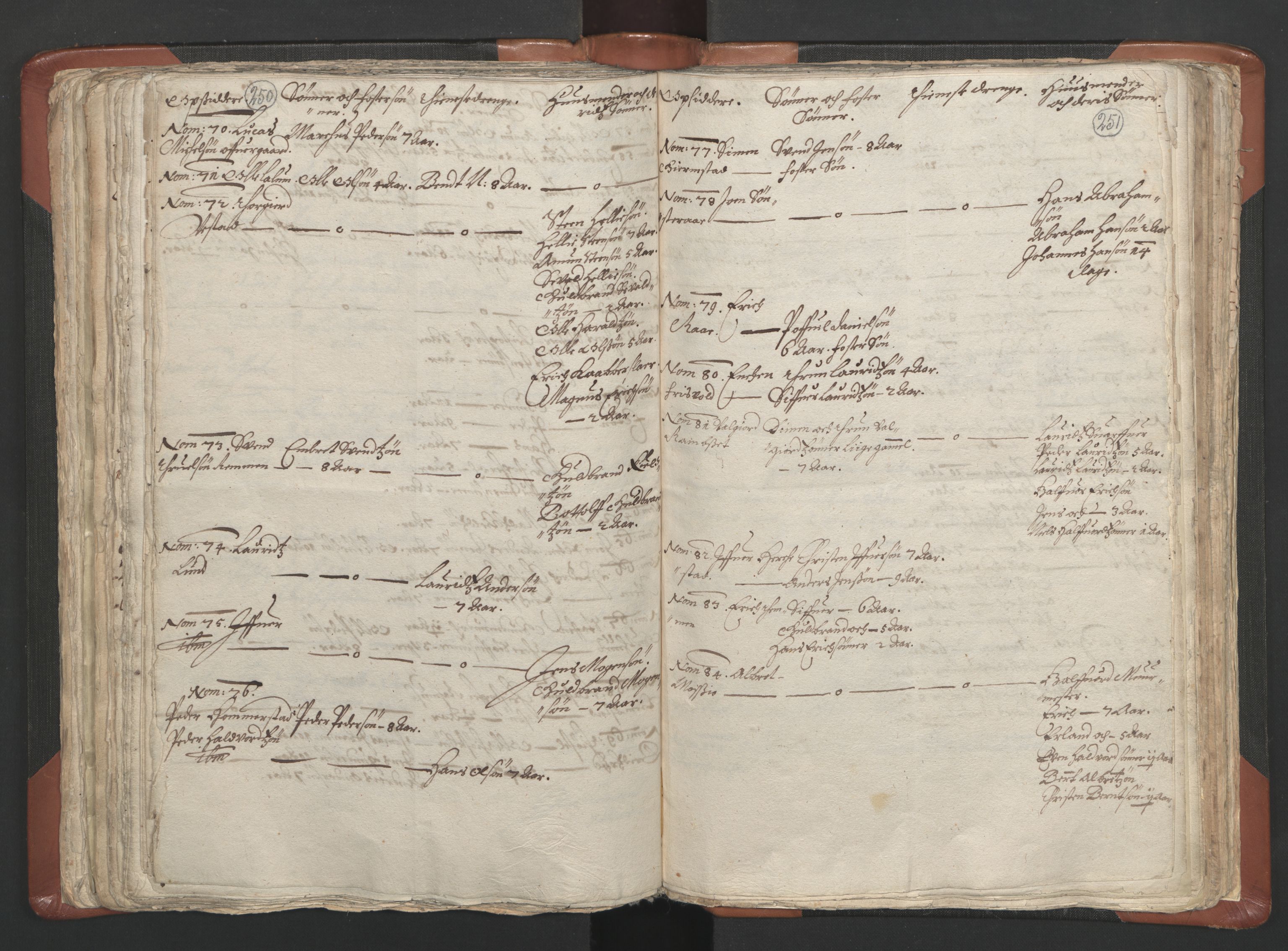 RA, Vicar's Census 1664-1666, no. 5: Hedmark deanery, 1664-1666, p. 250-251