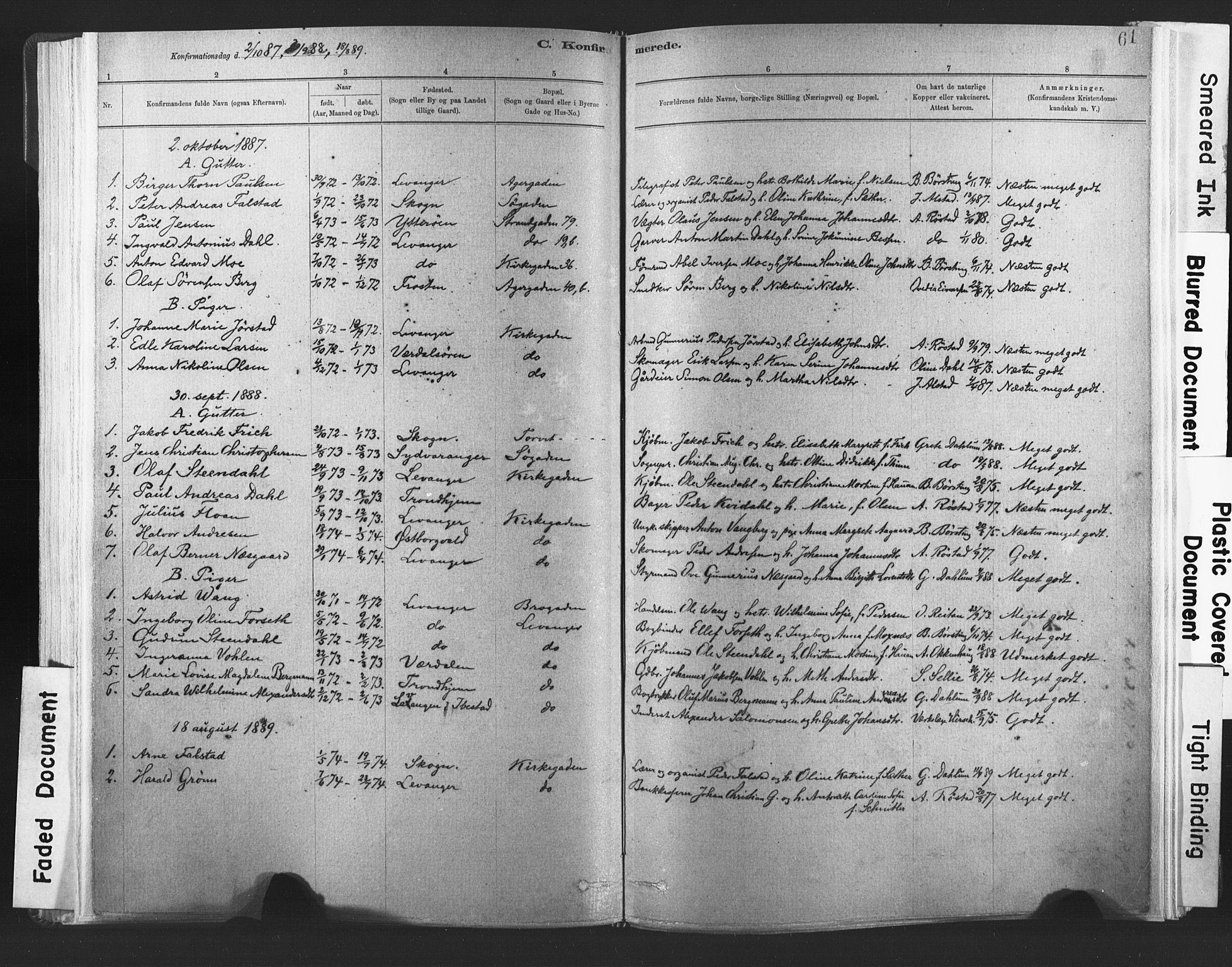 Ministerialprotokoller, klokkerbøker og fødselsregistre - Nord-Trøndelag, SAT/A-1458/720/L0189: Parish register (official) no. 720A05, 1880-1911, p. 61