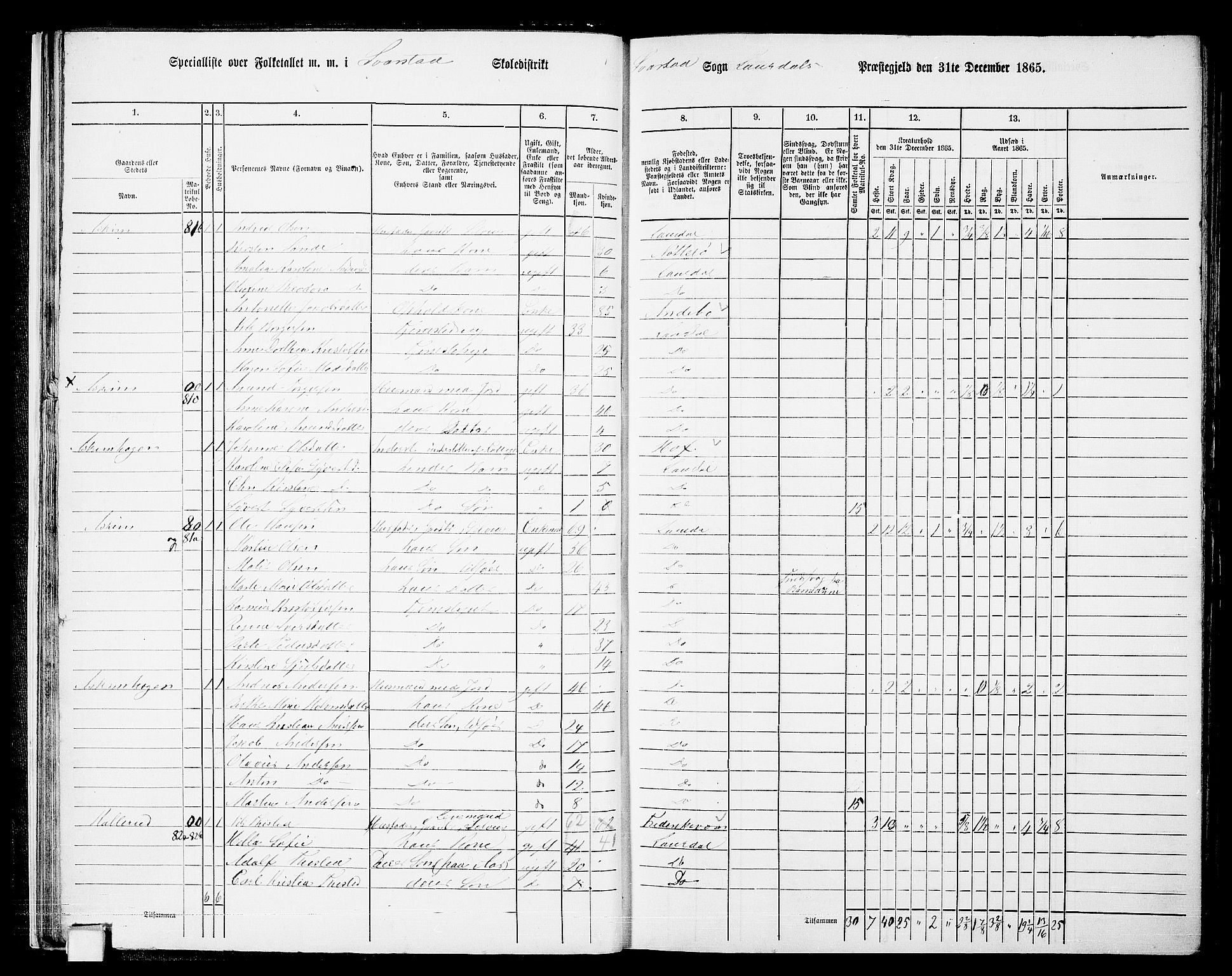 RA, 1865 census for Lardal, 1865, p. 24