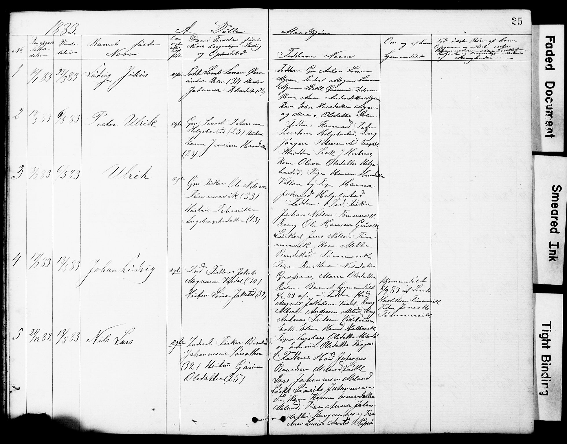 Ministerialprotokoller, klokkerbøker og fødselsregistre - Sør-Trøndelag, SAT/A-1456/634/L0541: Parish register (copy) no. 634C03, 1874-1891, p. 25