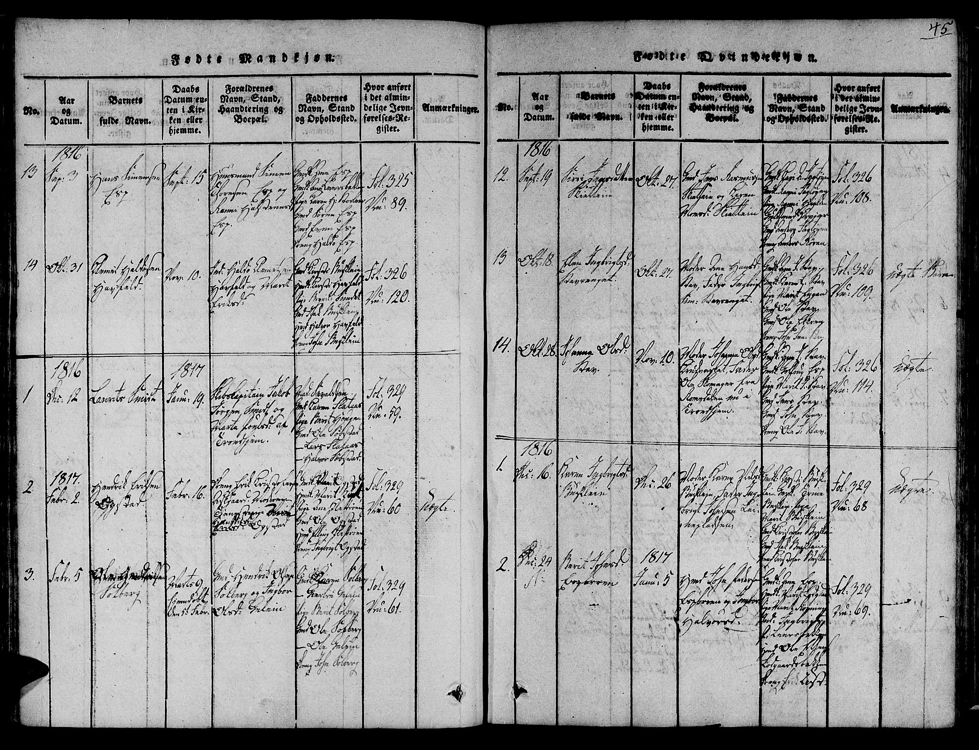 Ministerialprotokoller, klokkerbøker og fødselsregistre - Sør-Trøndelag, SAT/A-1456/691/L1067: Parish register (official) no. 691A03 /3, 1816-1826, p. 45