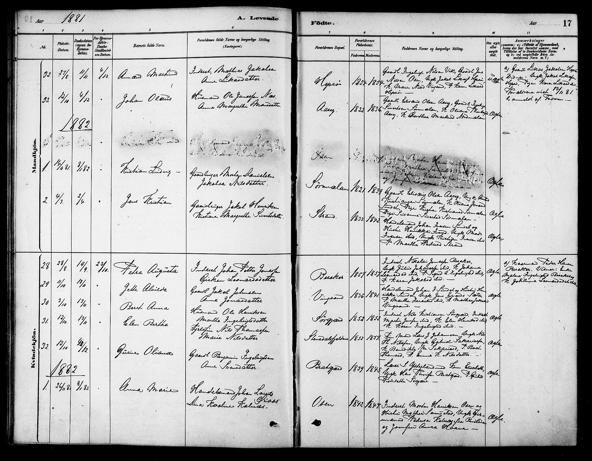 Ministerialprotokoller, klokkerbøker og fødselsregistre - Sør-Trøndelag, SAT/A-1456/658/L0722: Parish register (official) no. 658A01, 1879-1896, p. 17