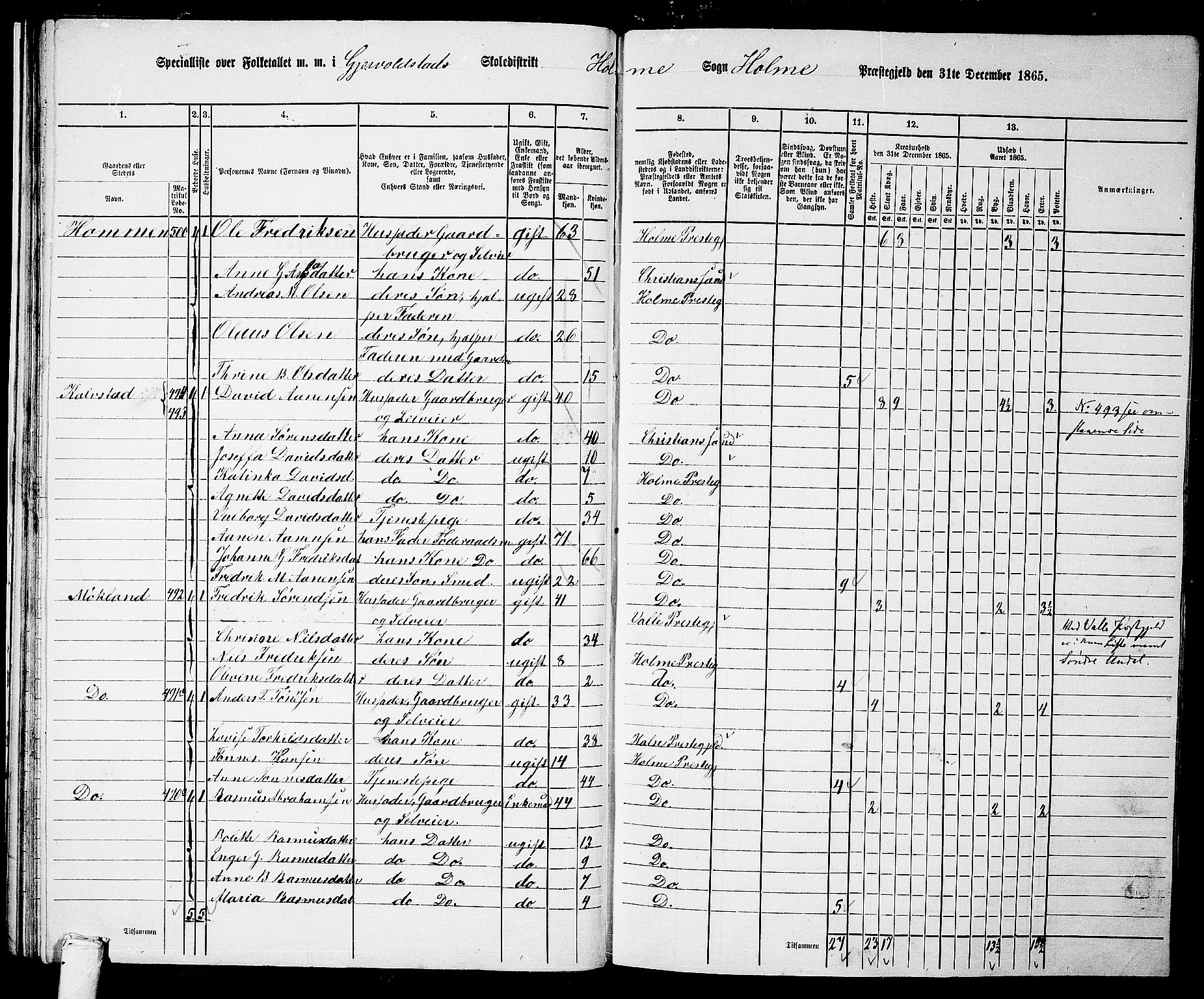 RA, 1865 census for Holum, 1865, p. 40