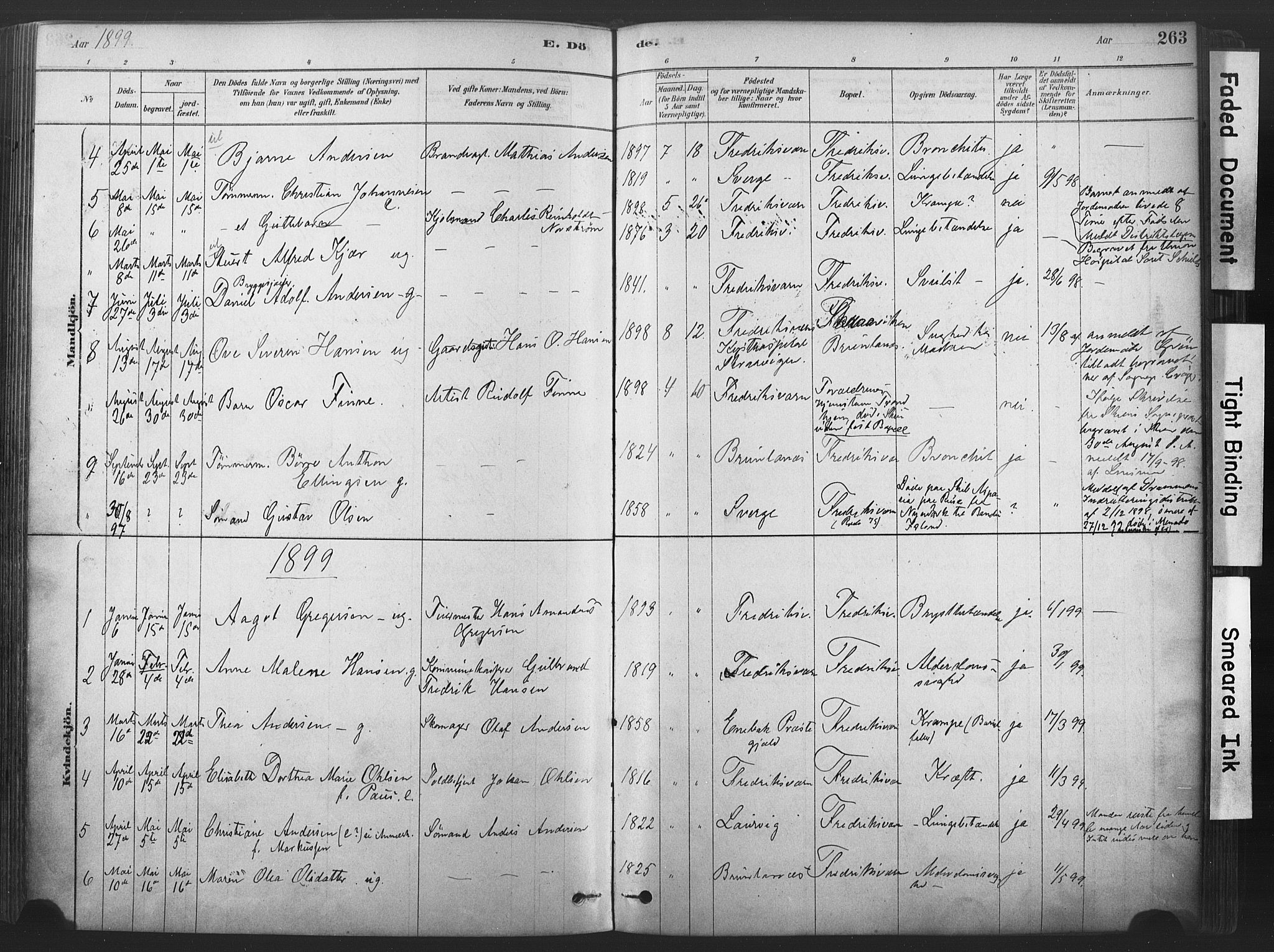 Stavern kirkebøker, SAKO/A-318/F/Fa/L0008: Parish register (official) no. 8, 1878-1905, p. 263