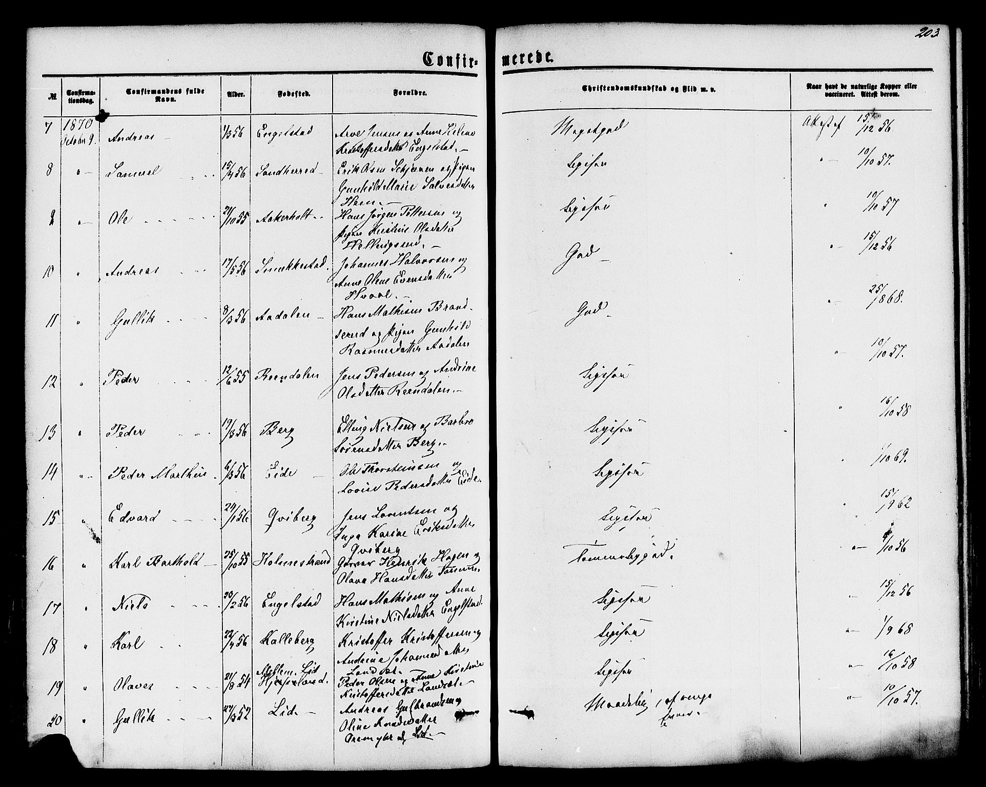Lardal kirkebøker, SAKO/A-350/F/Fa/L0007: Parish register (official) no. I 7, 1861-1880, p. 203