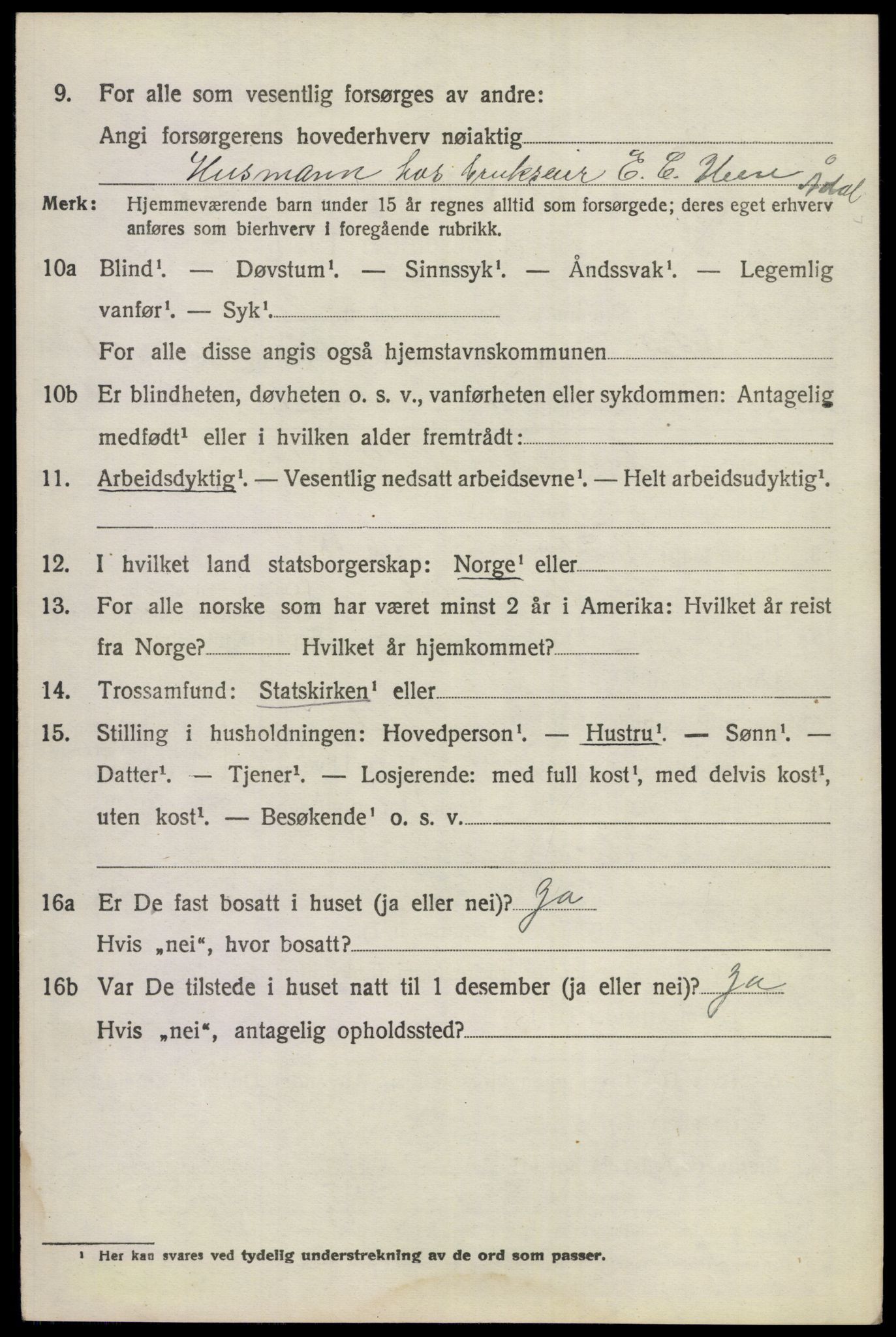 SAKO, 1920 census for Ådal, 1920, p. 1177