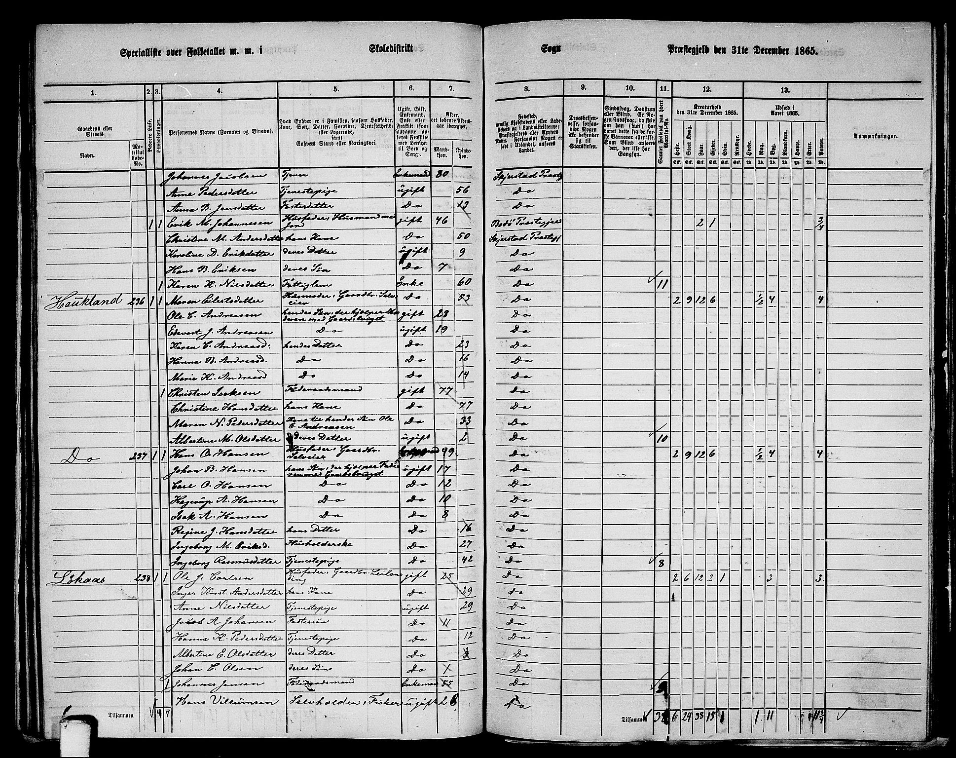 RA, 1865 census for Skjerstad, 1865, p. 117