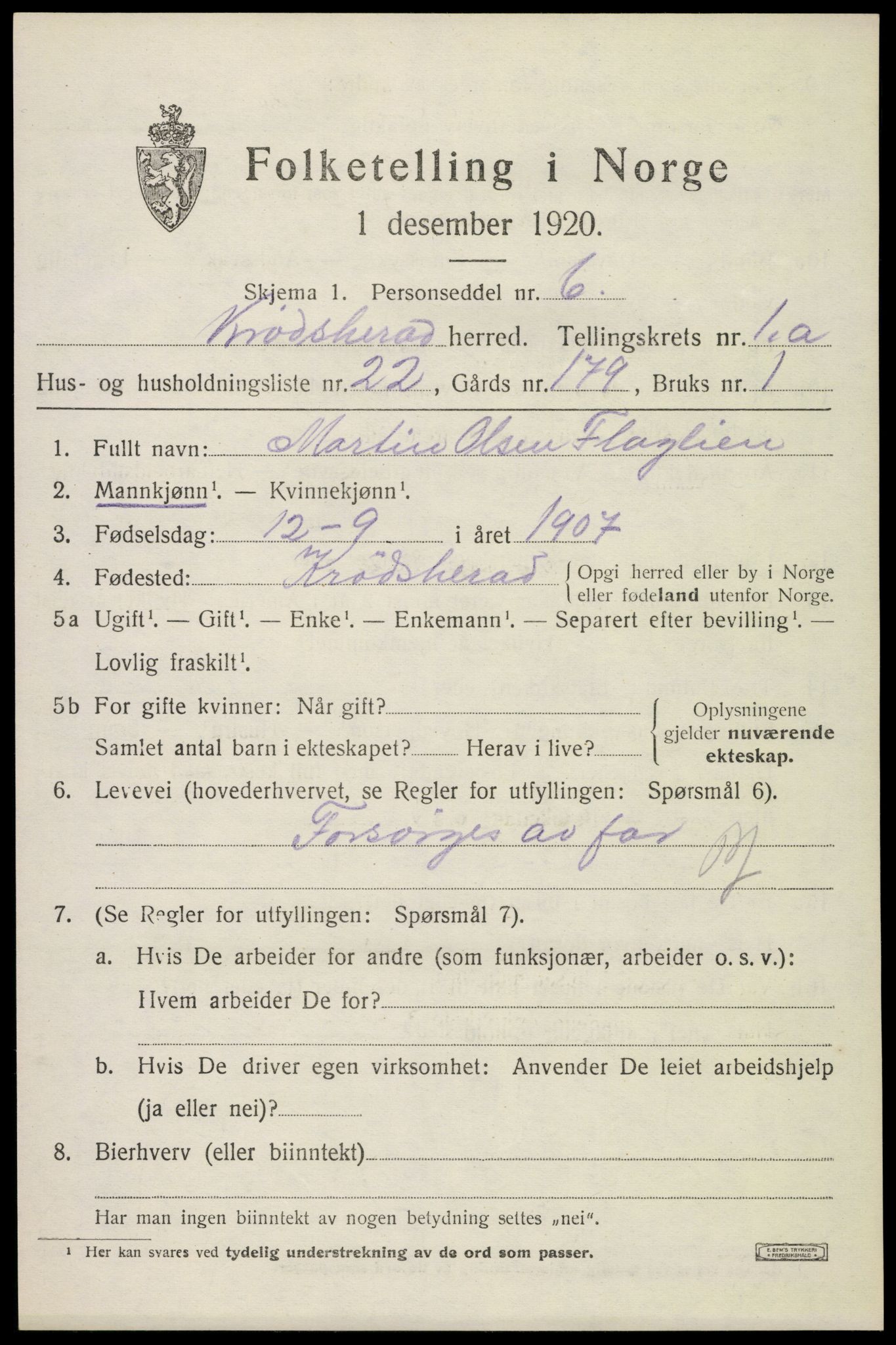 SAKO, 1920 census for Krødsherad, 1920, p. 1161