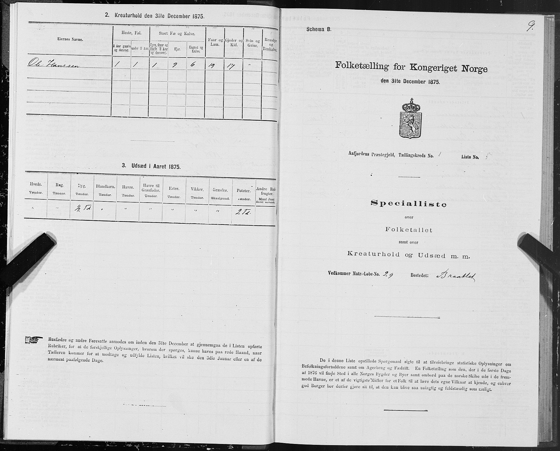 SAT, 1875 census for 1630P Aafjorden, 1875, p. 1009