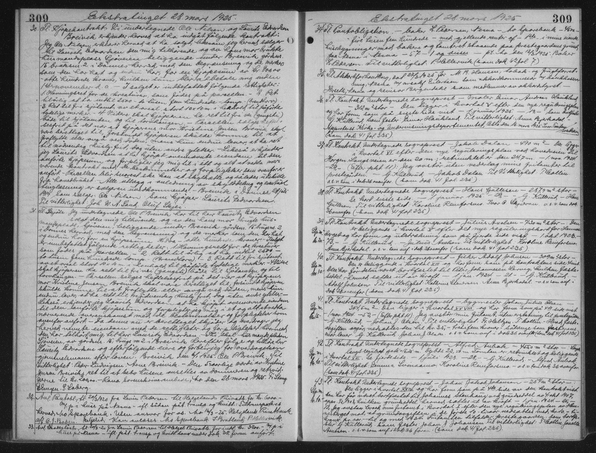 Rana sorenskriveri , AV/SAT-A-1108/1/2/2C/L0018: Mortgage book no. 18, 1923-1928, p. 309, Deed date: 28.03.1925