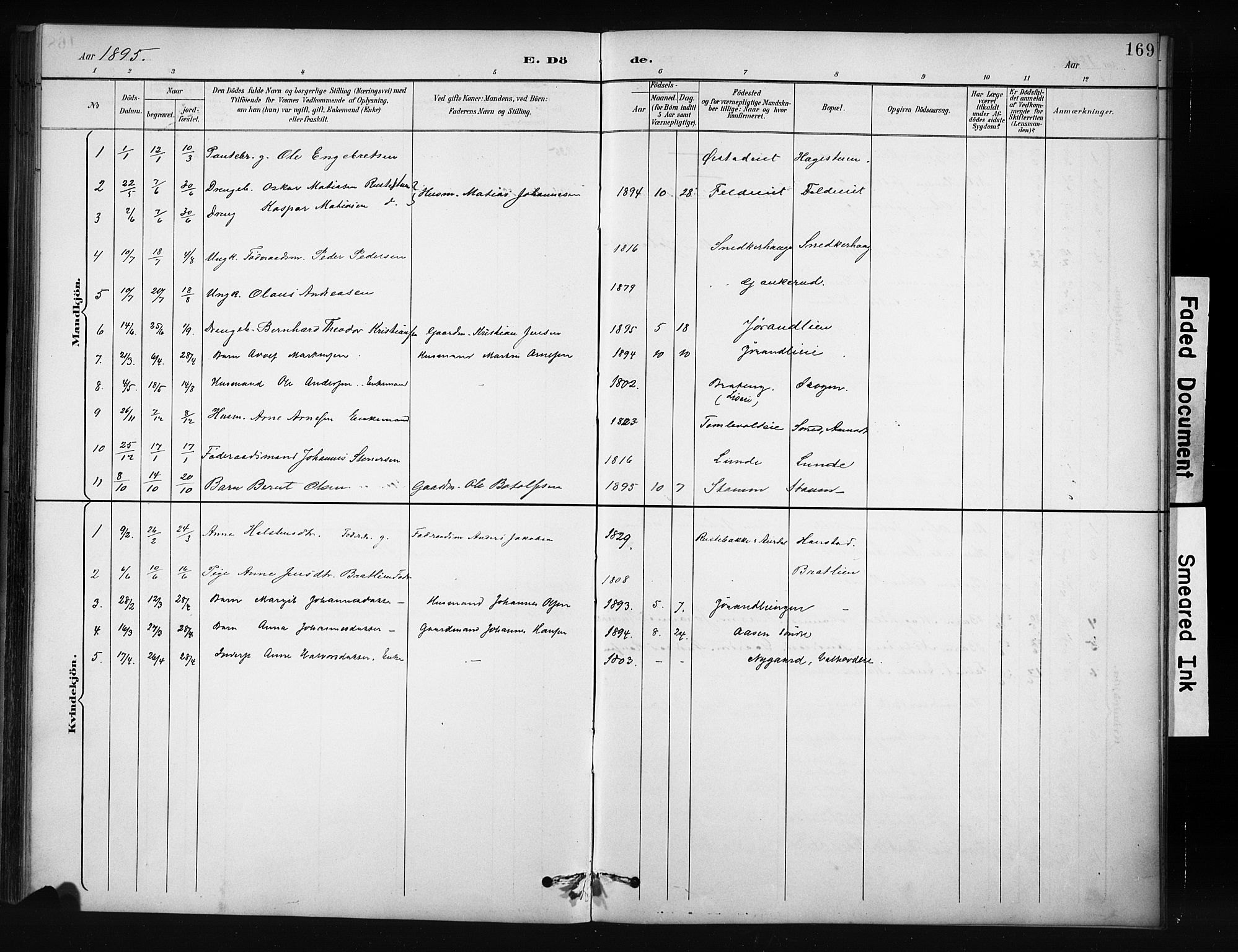 Nordre Land prestekontor, SAH/PREST-124/H/Ha/Hab/L0012: Parish register (copy) no. 12, 1891-1909, p. 169