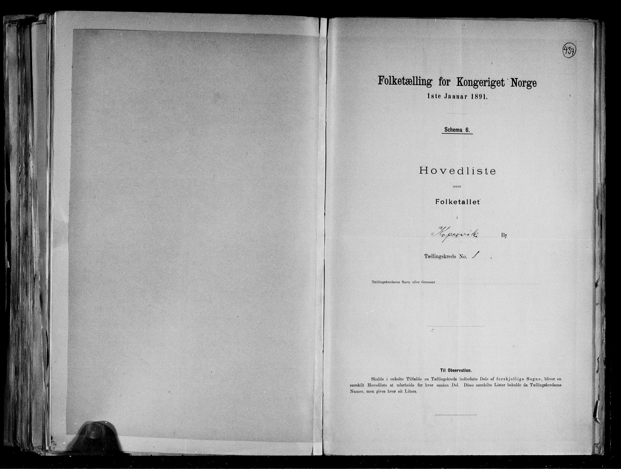 RA, 1891 census for 1105 Kopervik, 1891, p. 5