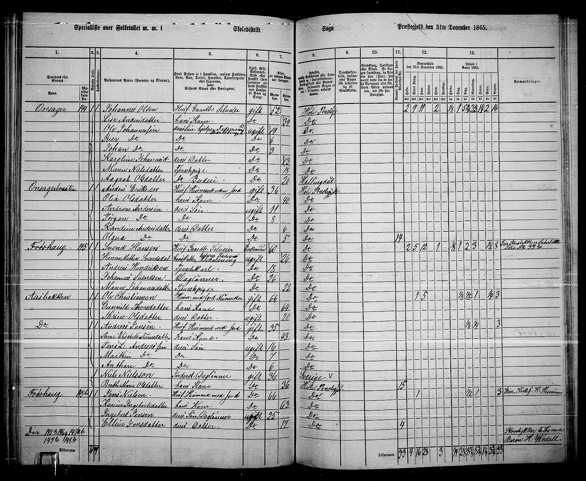 RA, 1865 census for Hole, 1865, p. 105