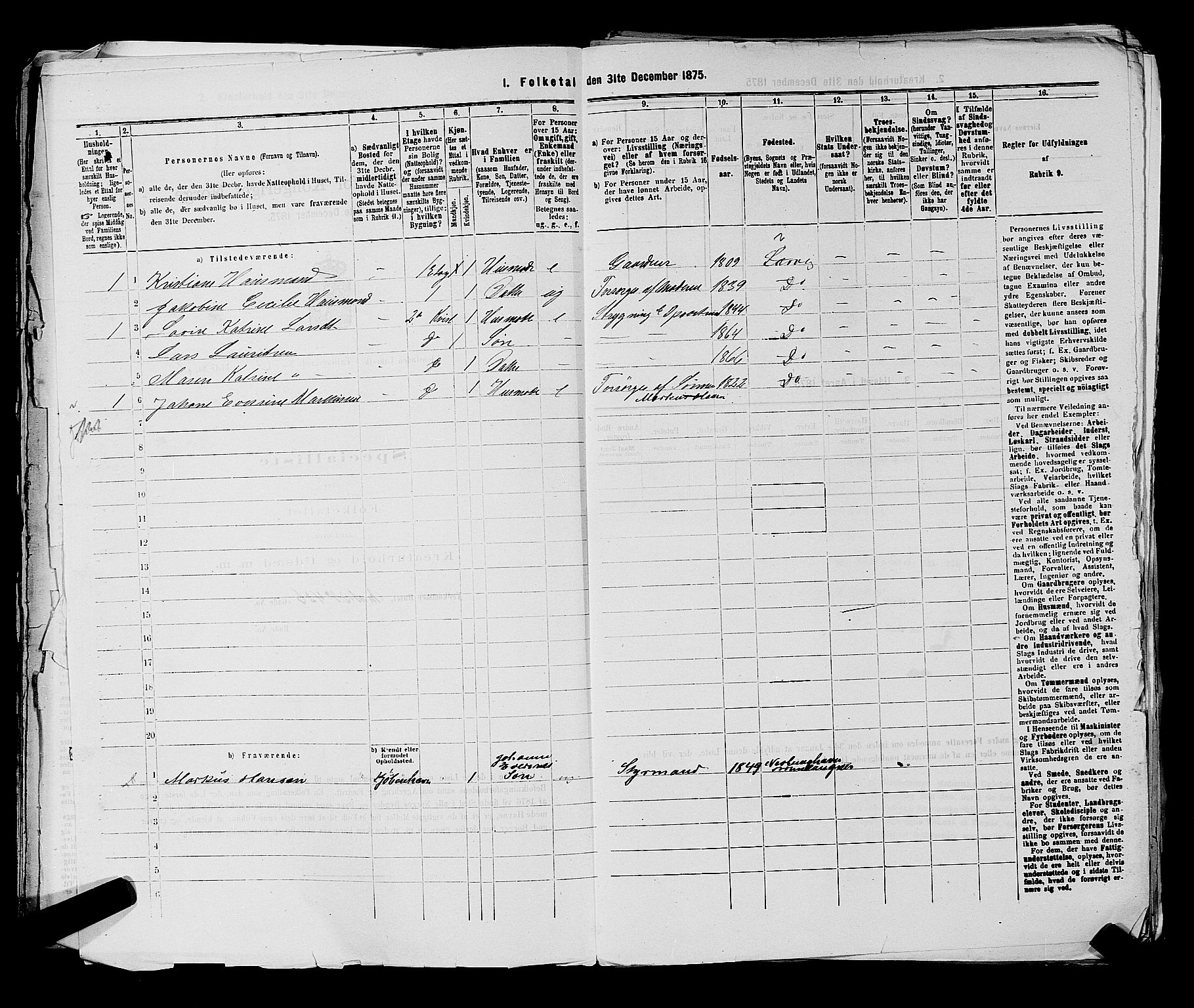 SAKO, 1875 census for 0707P Larvik, 1875, p. 1128