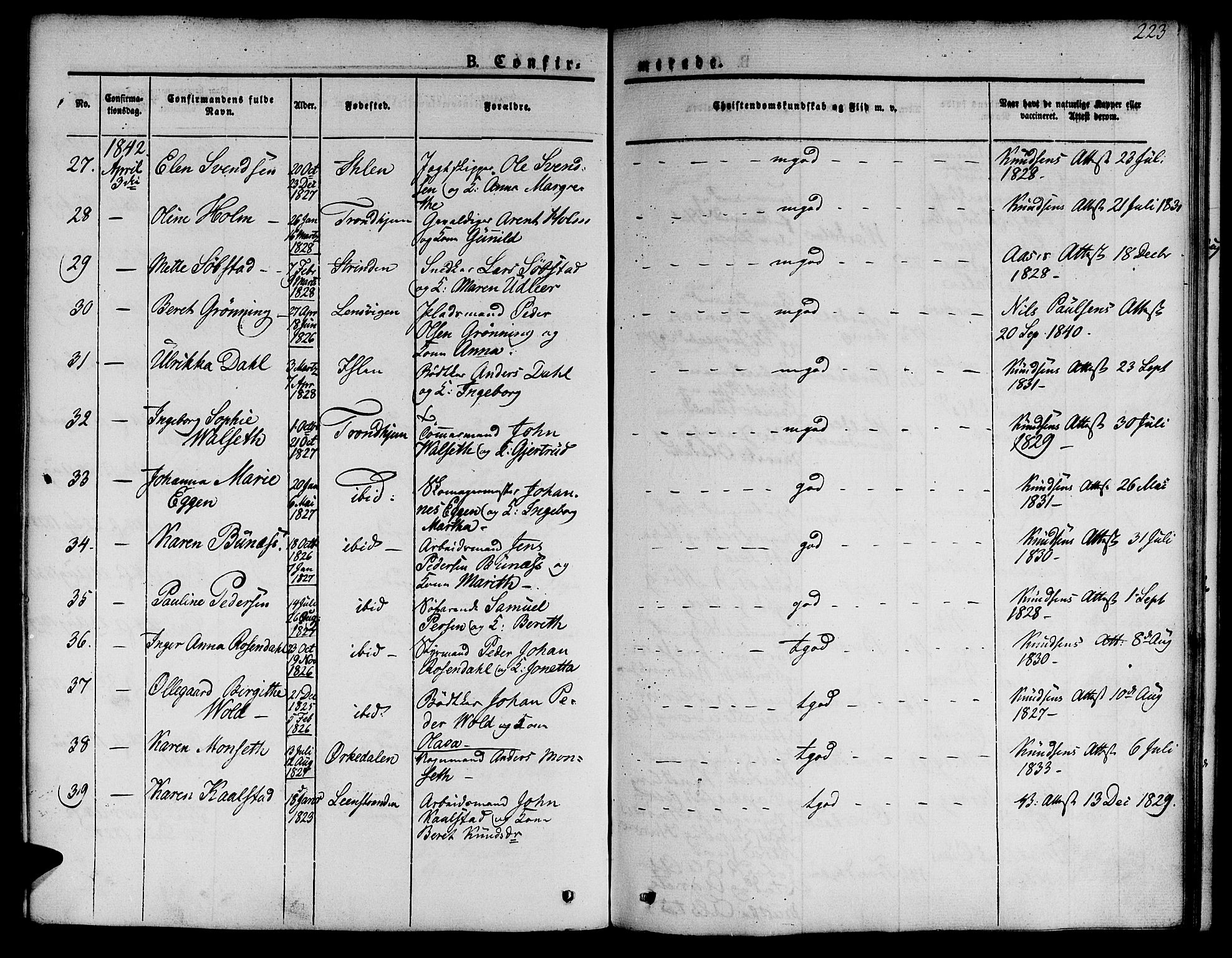 Ministerialprotokoller, klokkerbøker og fødselsregistre - Sør-Trøndelag, AV/SAT-A-1456/601/L0048: Parish register (official) no. 601A16, 1840-1847, p. 223