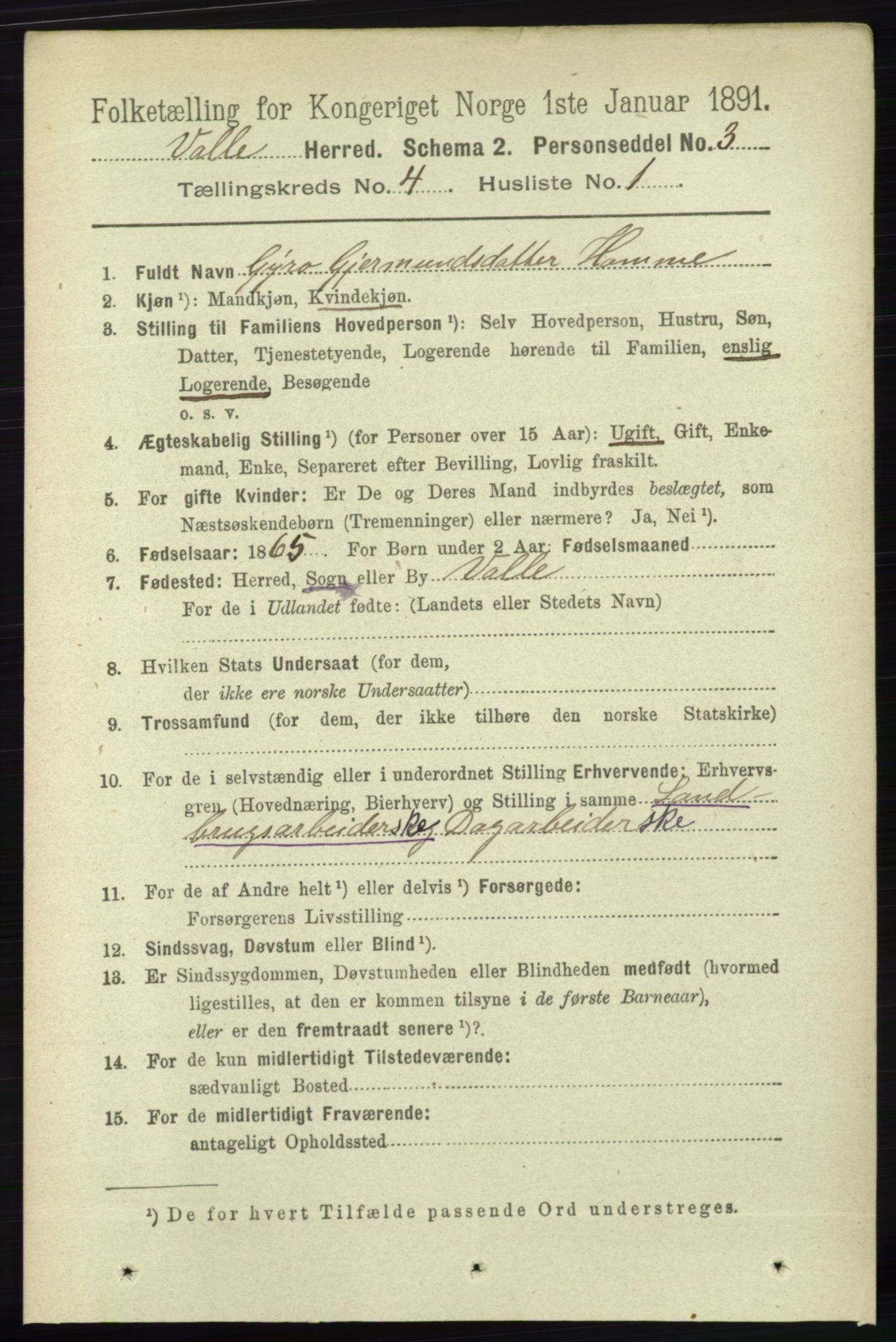 RA, 1891 census for 0940 Valle, 1891, p. 1007