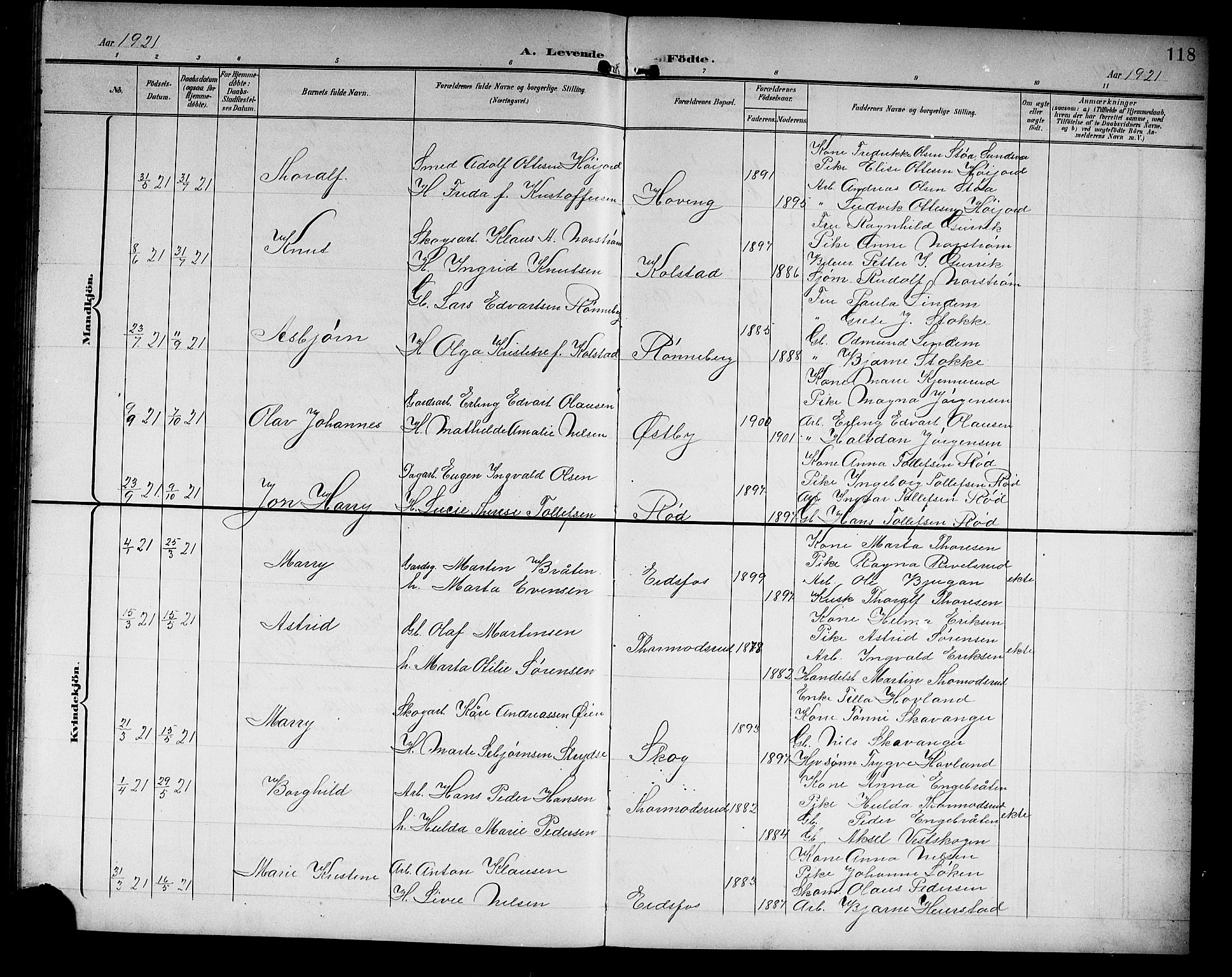 Hof kirkebøker, SAKO/A-64/G/Ga/L0005: Parish register (copy) no. I 5, 1899-1922, p. 118