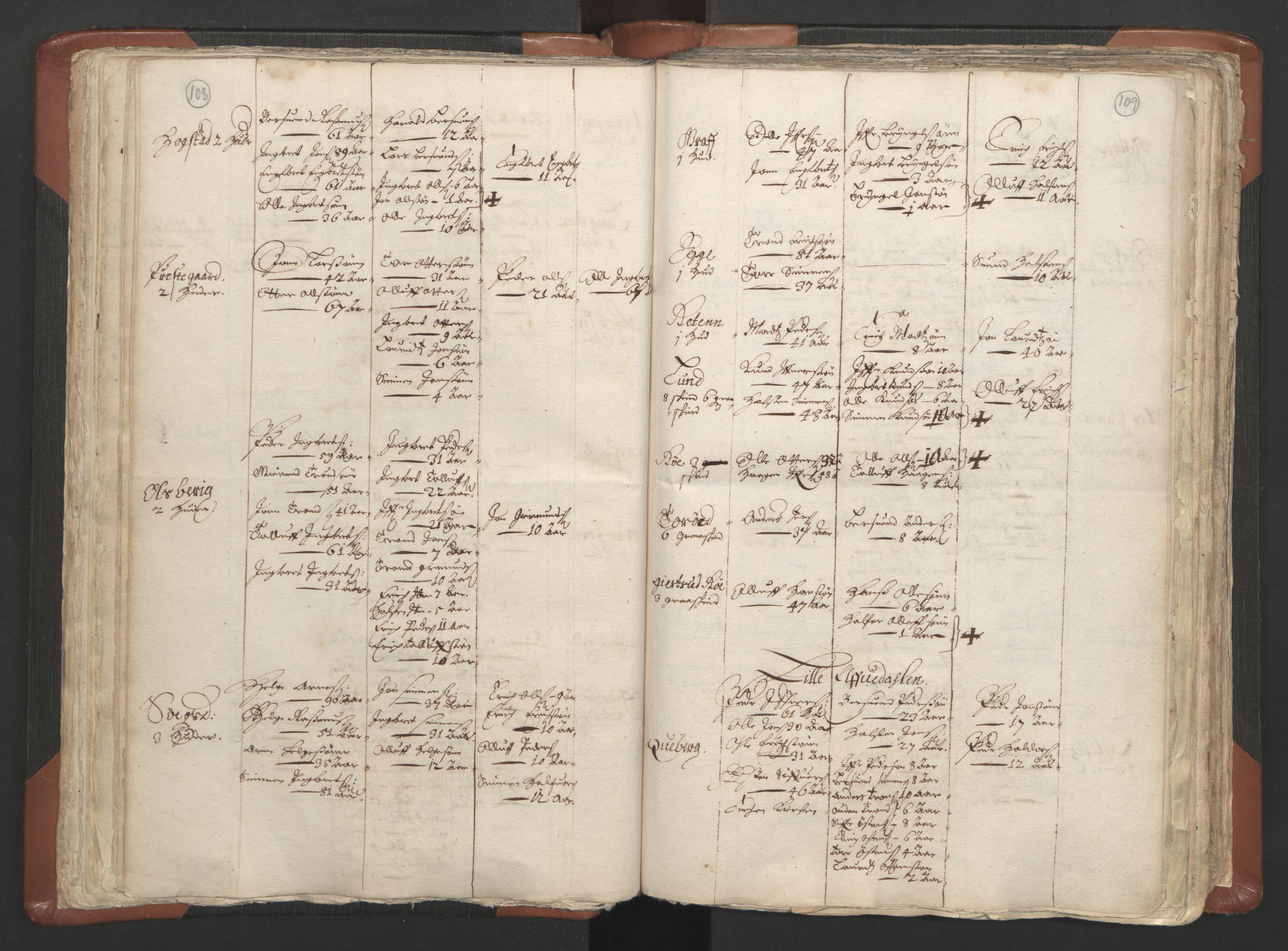RA, Vicar's Census 1664-1666, no. 5: Hedmark deanery, 1664-1666, p. 108-109
