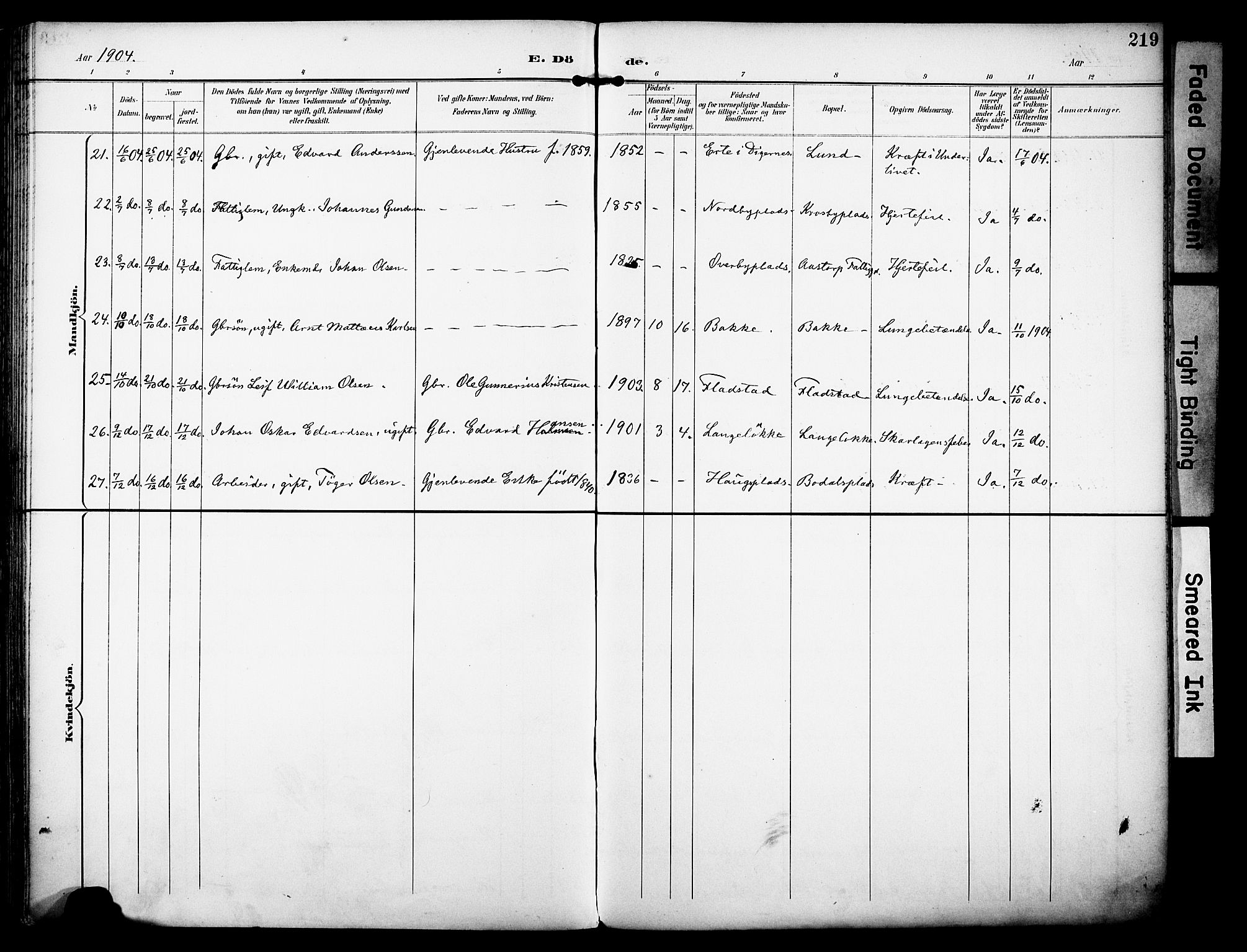 Rakkestad prestekontor Kirkebøker, AV/SAO-A-2008/F/Fa/L0013: Parish register (official) no. I 13, 1894-1908, p. 219