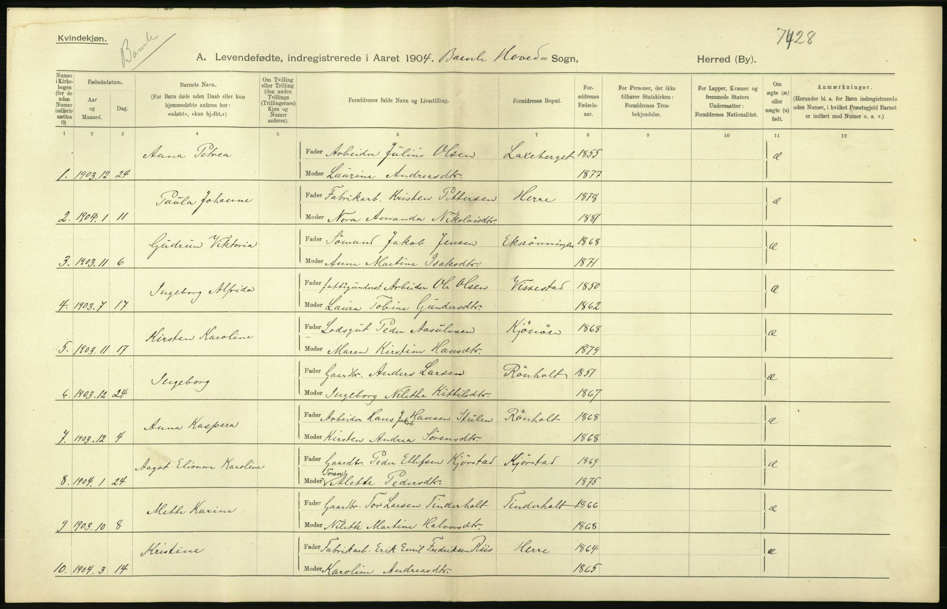 Statistisk sentralbyrå, Sosiodemografiske emner, Befolkning, AV/RA-S-2228/D/Df/Dfa/Dfab/L0009: Bratsberg amt: Fødte, gifte, døde, 1904, p. 44