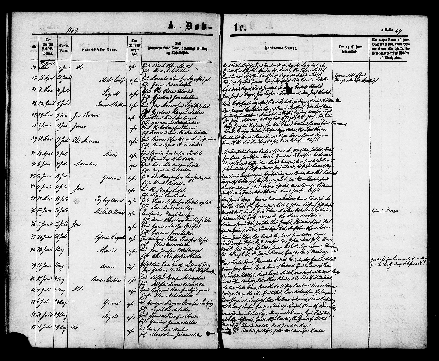 Ministerialprotokoller, klokkerbøker og fødselsregistre - Nord-Trøndelag, AV/SAT-A-1458/703/L0029: Parish register (official) no. 703A02, 1863-1879, p. 29