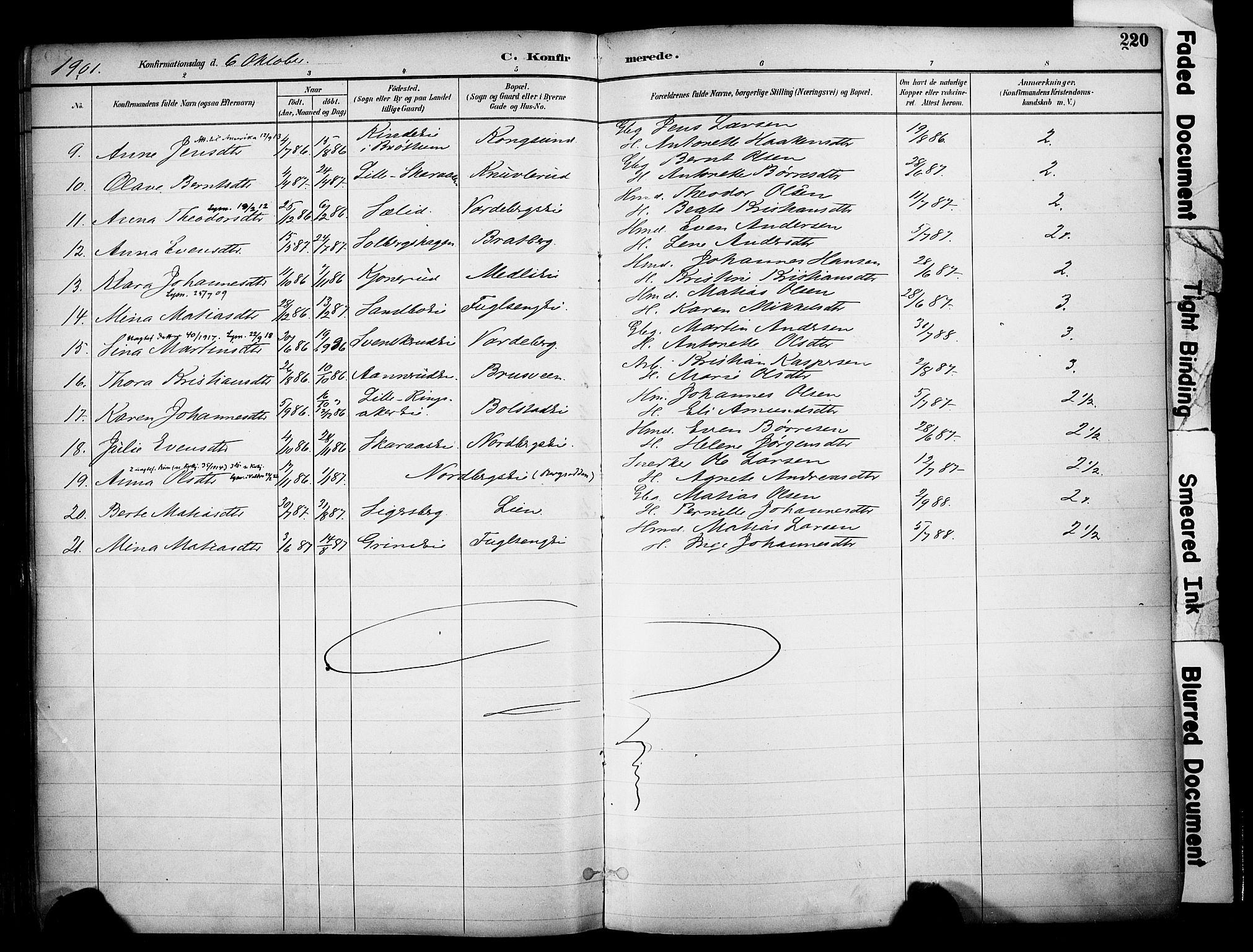 Ringsaker prestekontor, AV/SAH-PREST-014/K/Ka/L0017: Parish register (official) no. 17, 1891-1902, p. 220