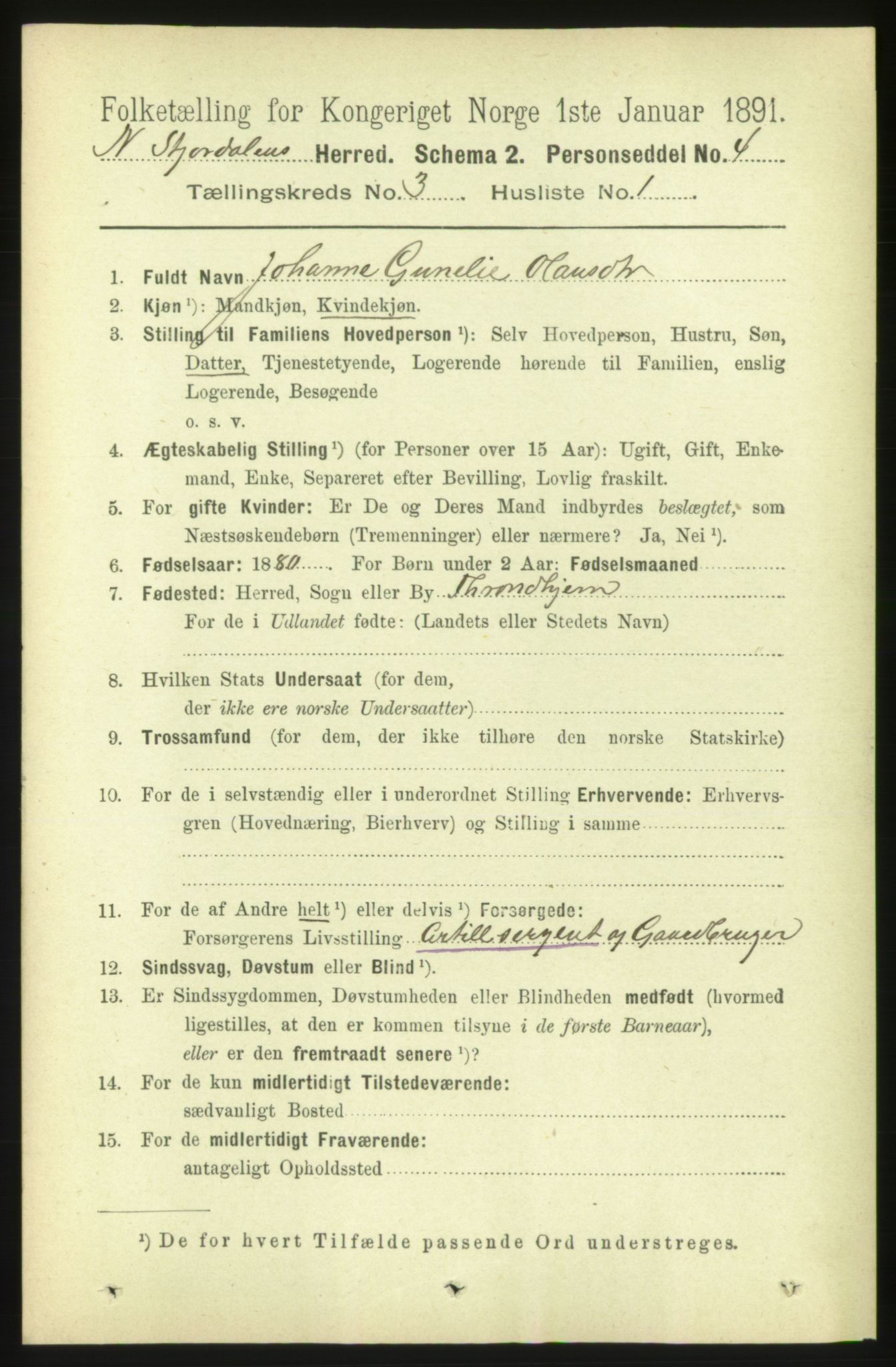 RA, 1891 census for 1714 Nedre Stjørdal, 1891, p. 1049