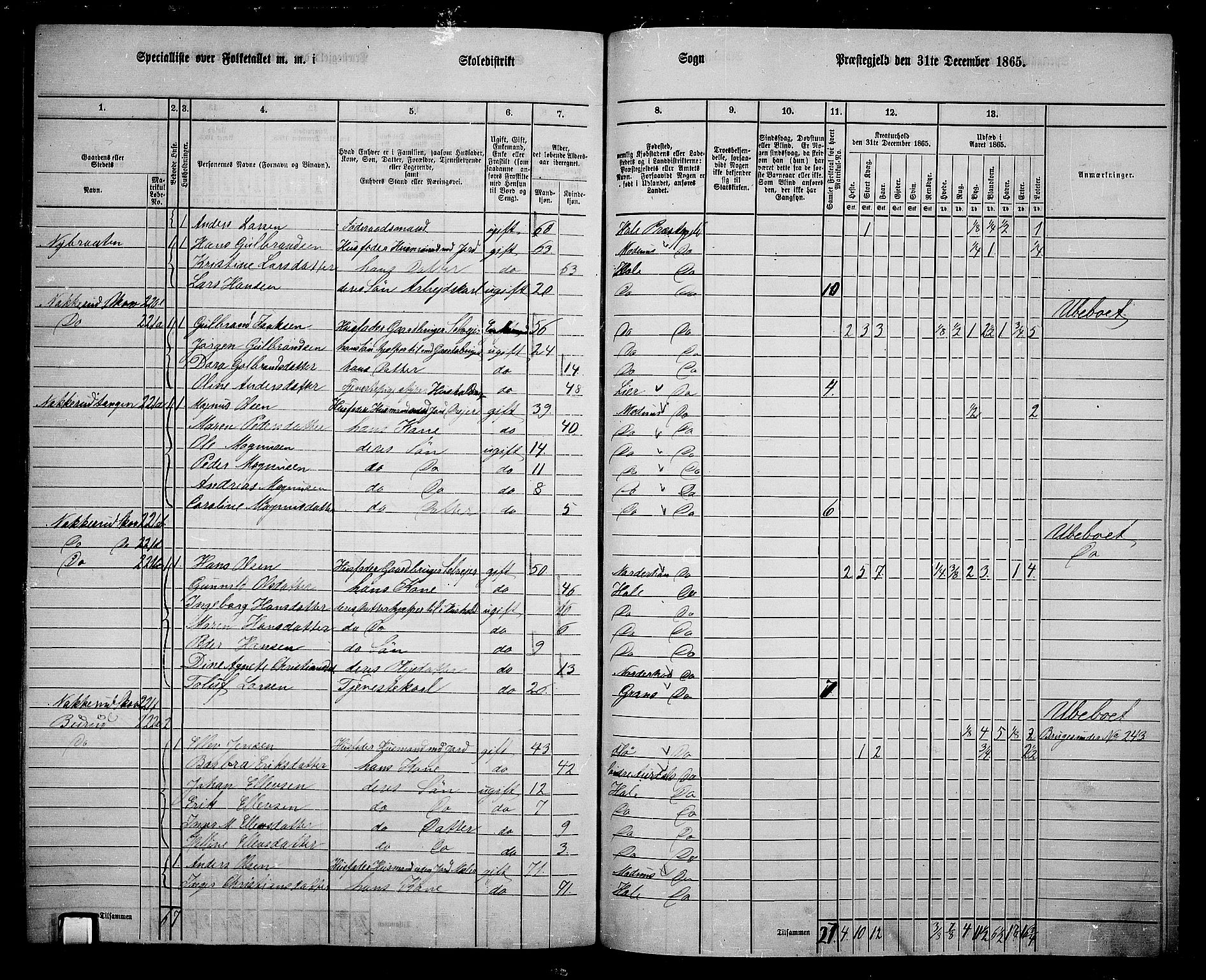 RA, 1865 census for Hole, 1865, p. 153