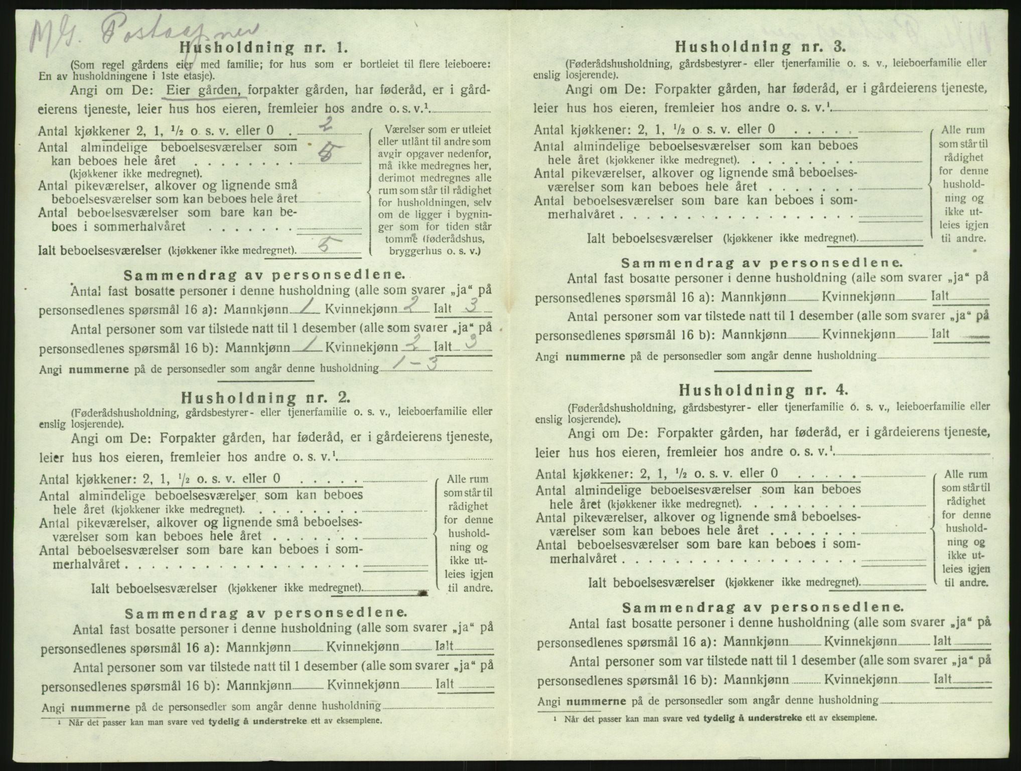 SAKO, 1920 census for Brunlanes, 1920, p. 1506