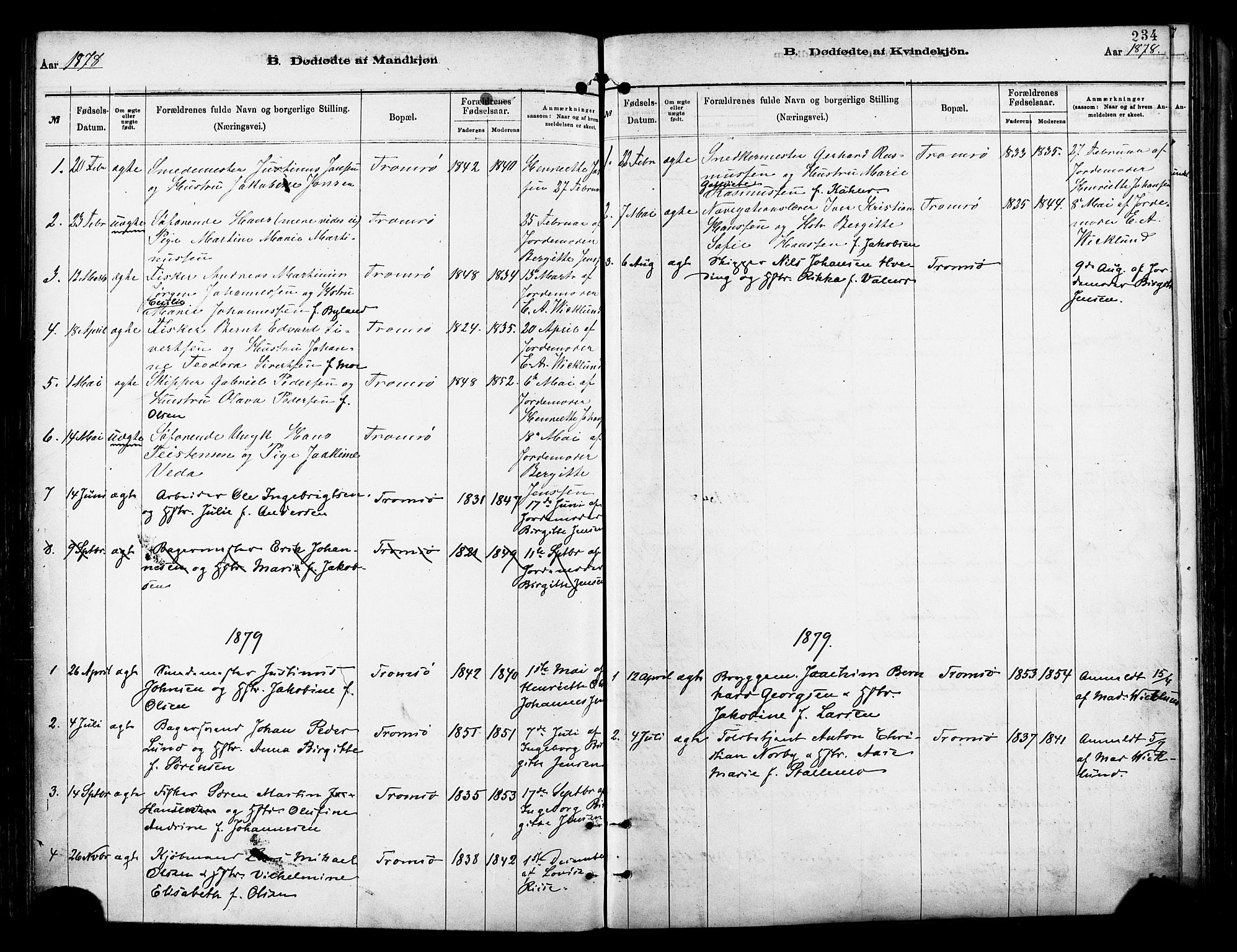 Tromsø sokneprestkontor/stiftsprosti/domprosti, SATØ/S-1343/G/Ga/L0014kirke: Parish register (official) no. 14, 1878-1888, p. 234