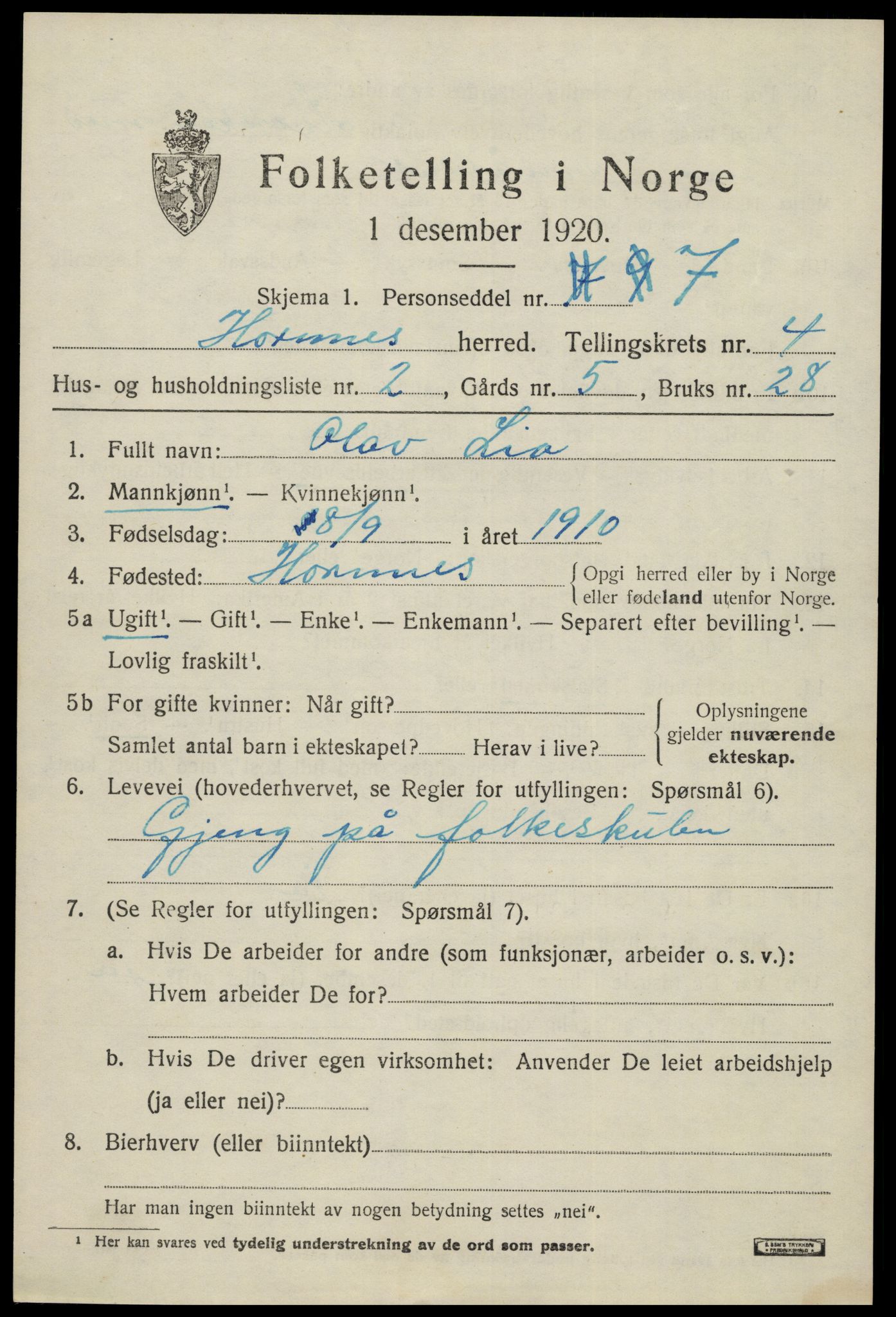 SAK, 1920 census for Hornnes, 1920, p. 1153