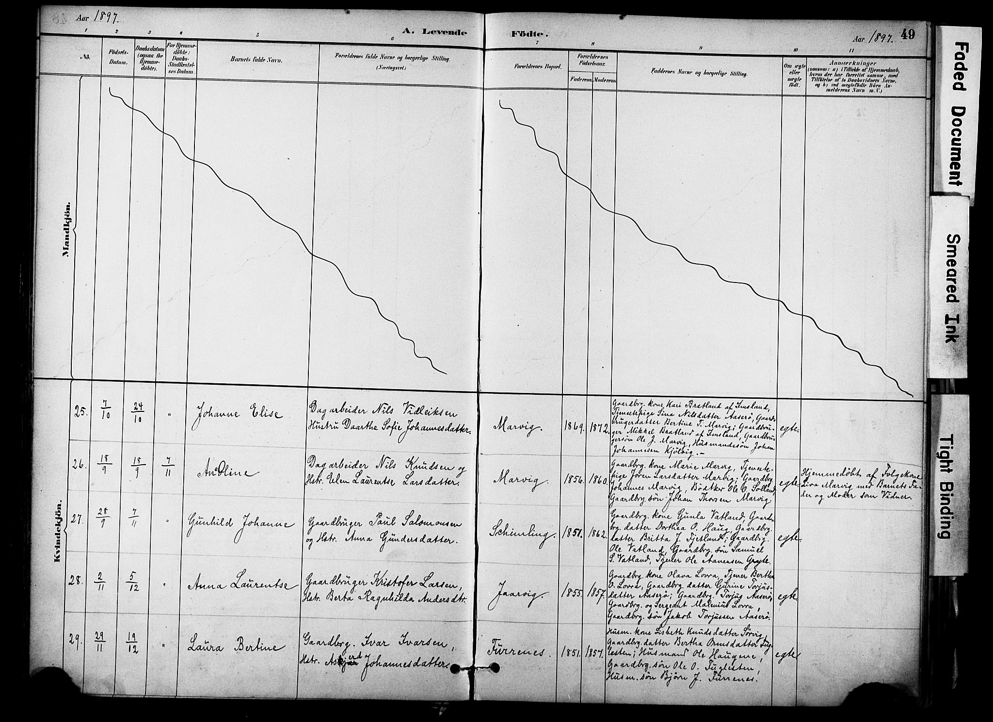 Jelsa sokneprestkontor, AV/SAST-A-101842/01/IV: Parish register (official) no. A 10, 1884-1906, p. 49