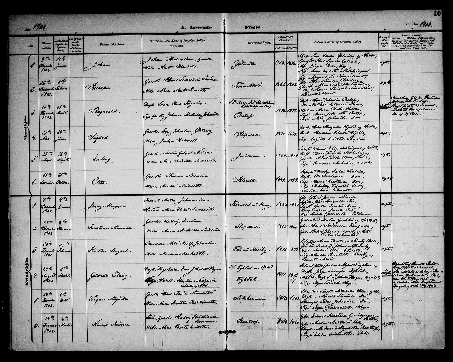 Rødenes prestekontor Kirkebøker, SAO/A-2005/F/Fa/L0011: Parish register (official) no. I 11, 1901-1910, p. 10