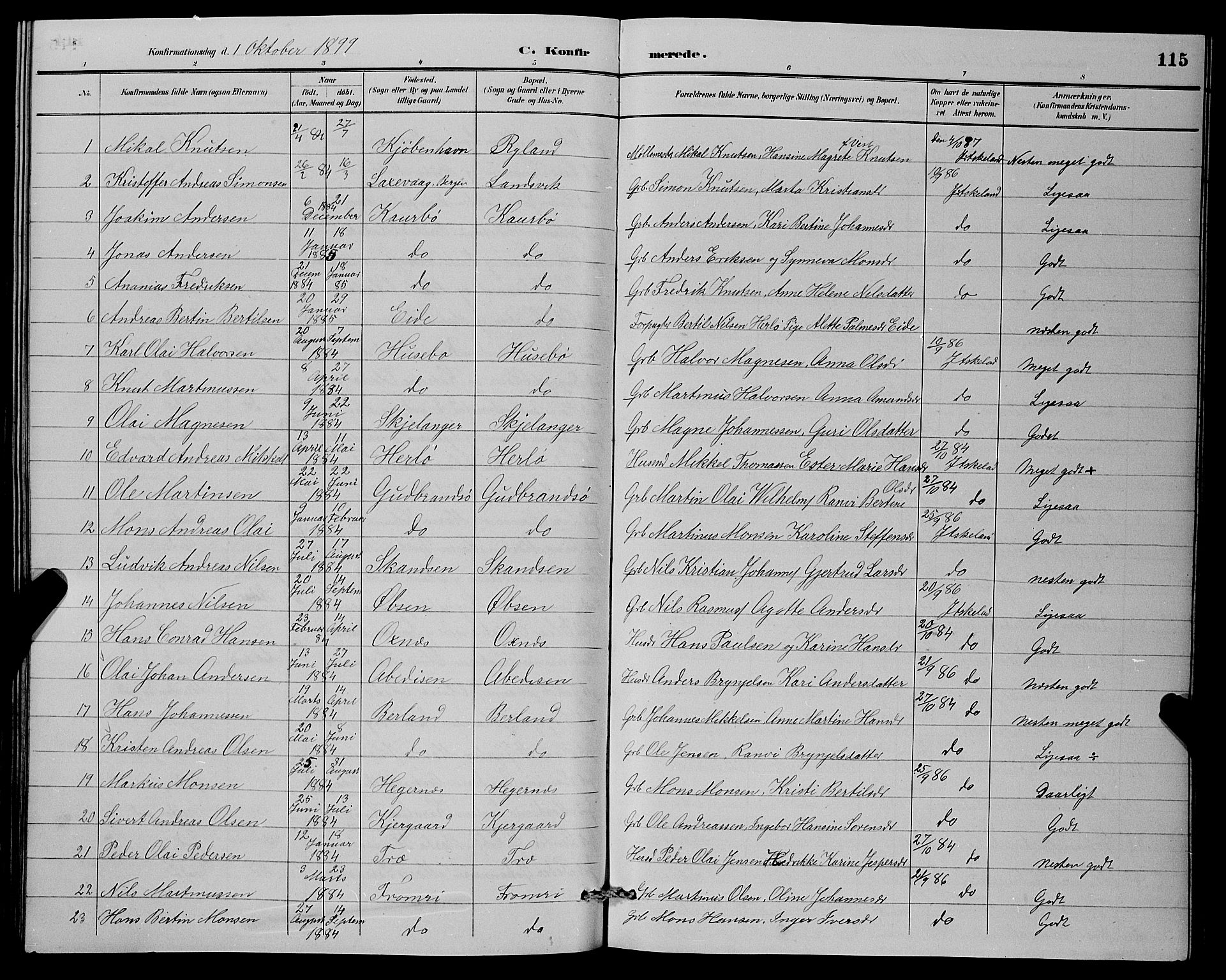 Herdla Sokneprestembete, SAB/A-75701/H/Hab: Parish register (copy) no. A 3, 1889-1899, p. 115