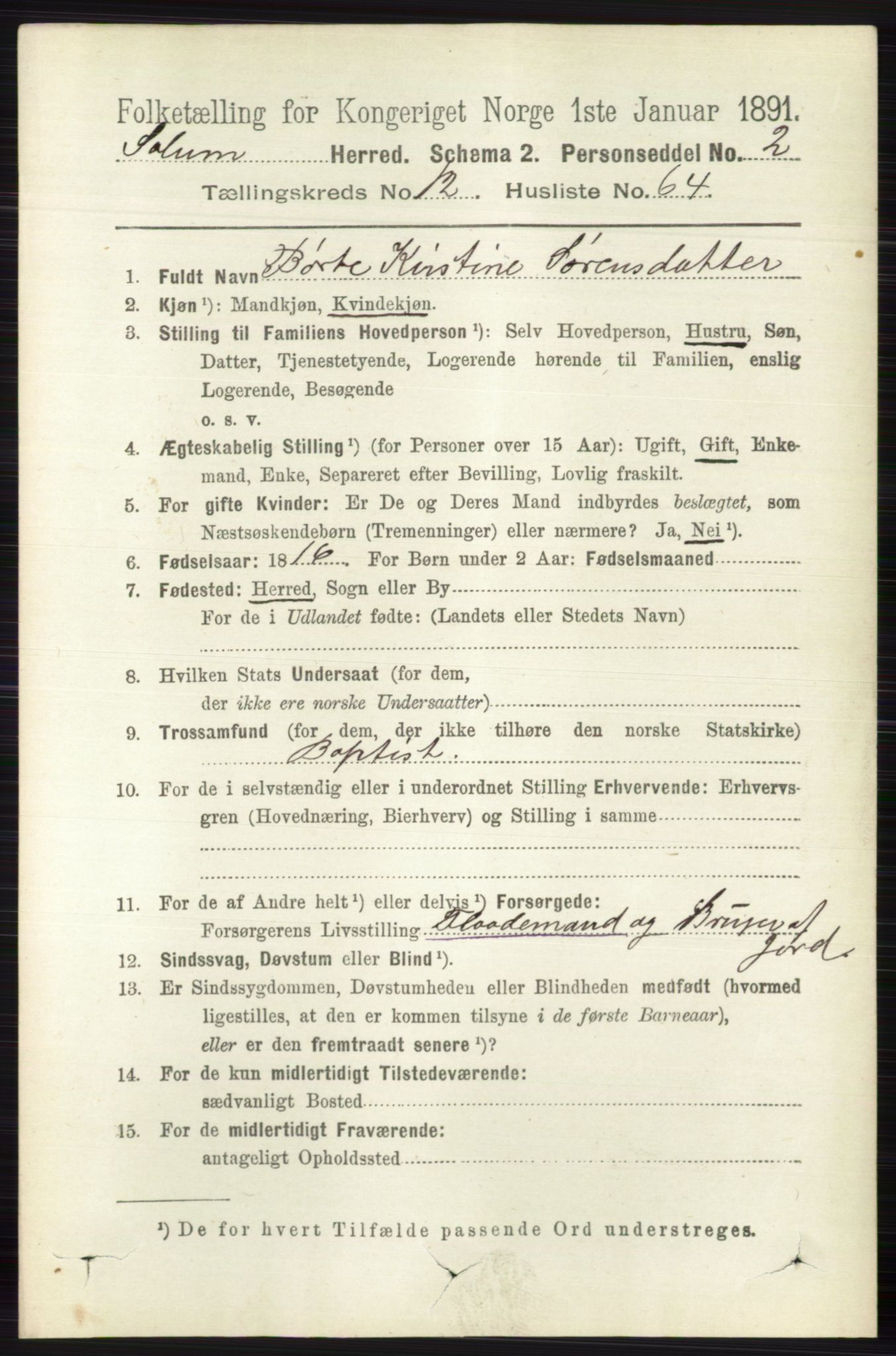 RA, 1891 census for 0818 Solum, 1891, p. 5981