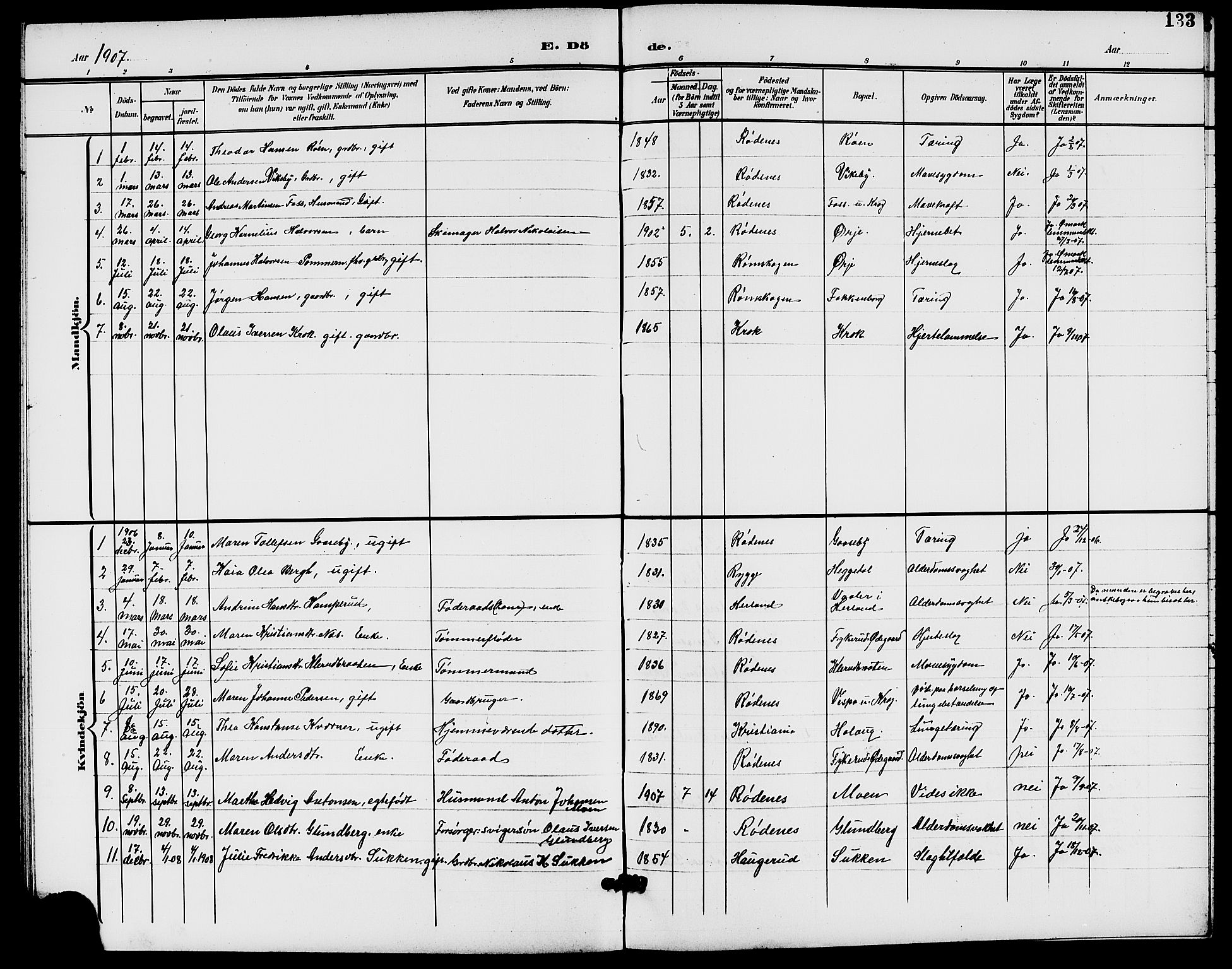 Rødenes prestekontor Kirkebøker, SAO/A-2005/G/Ga/L0002: Parish register (copy) no. I 2, 1901-1910, p. 133