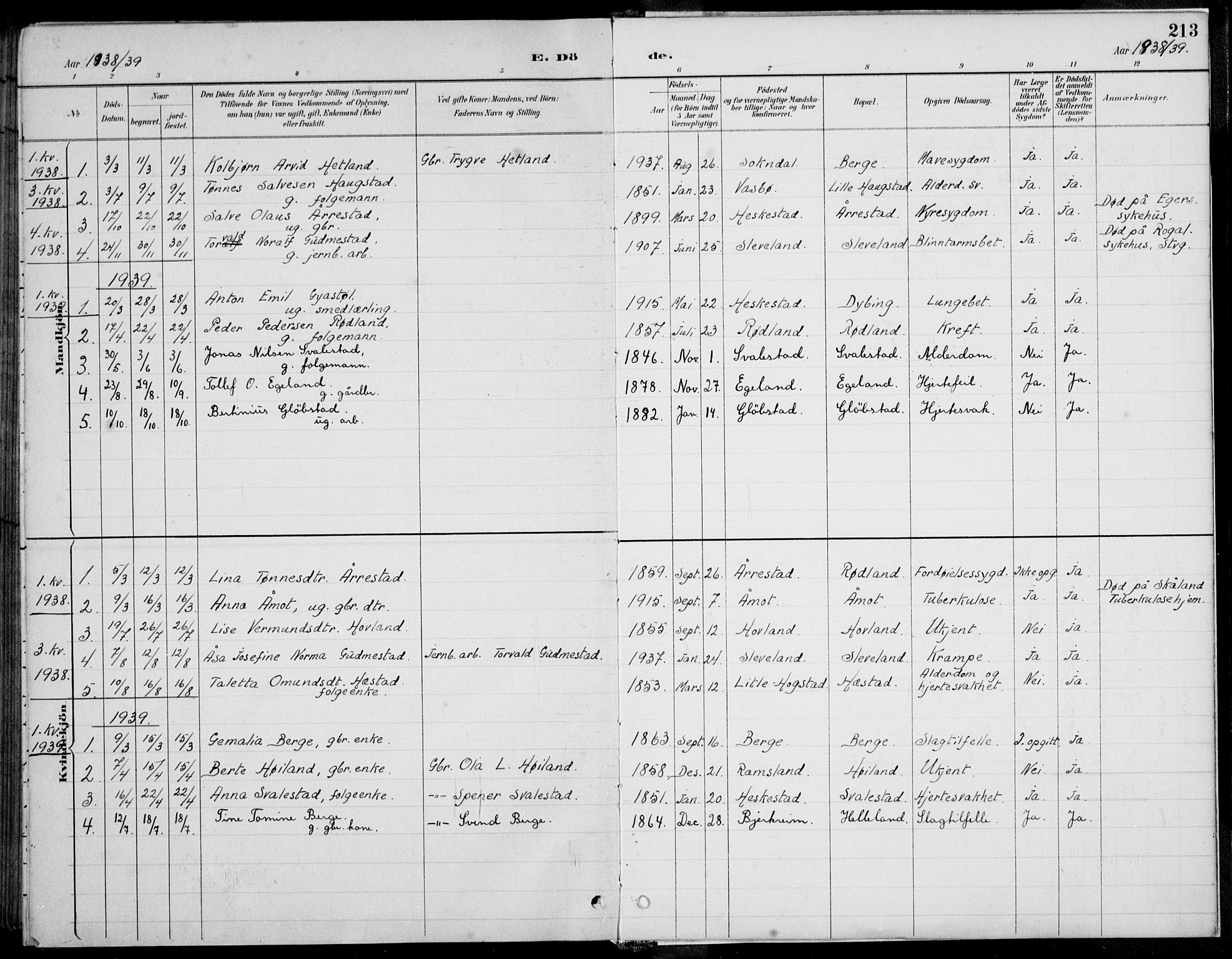 Helleland sokneprestkontor, AV/SAST-A-101810/S06/L0005: Parish register (copy) no. B 4, 1887-1941, p. 213
